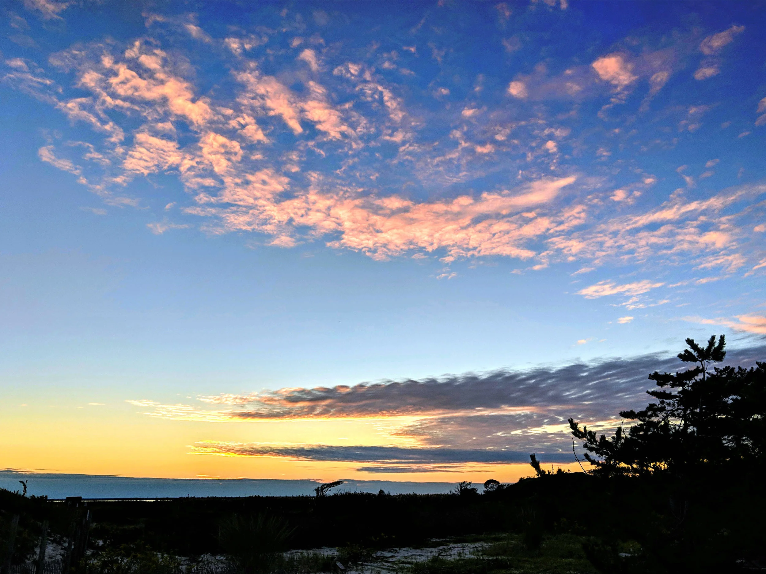 px-IMG_20181014_181526 - Edited2.jpg