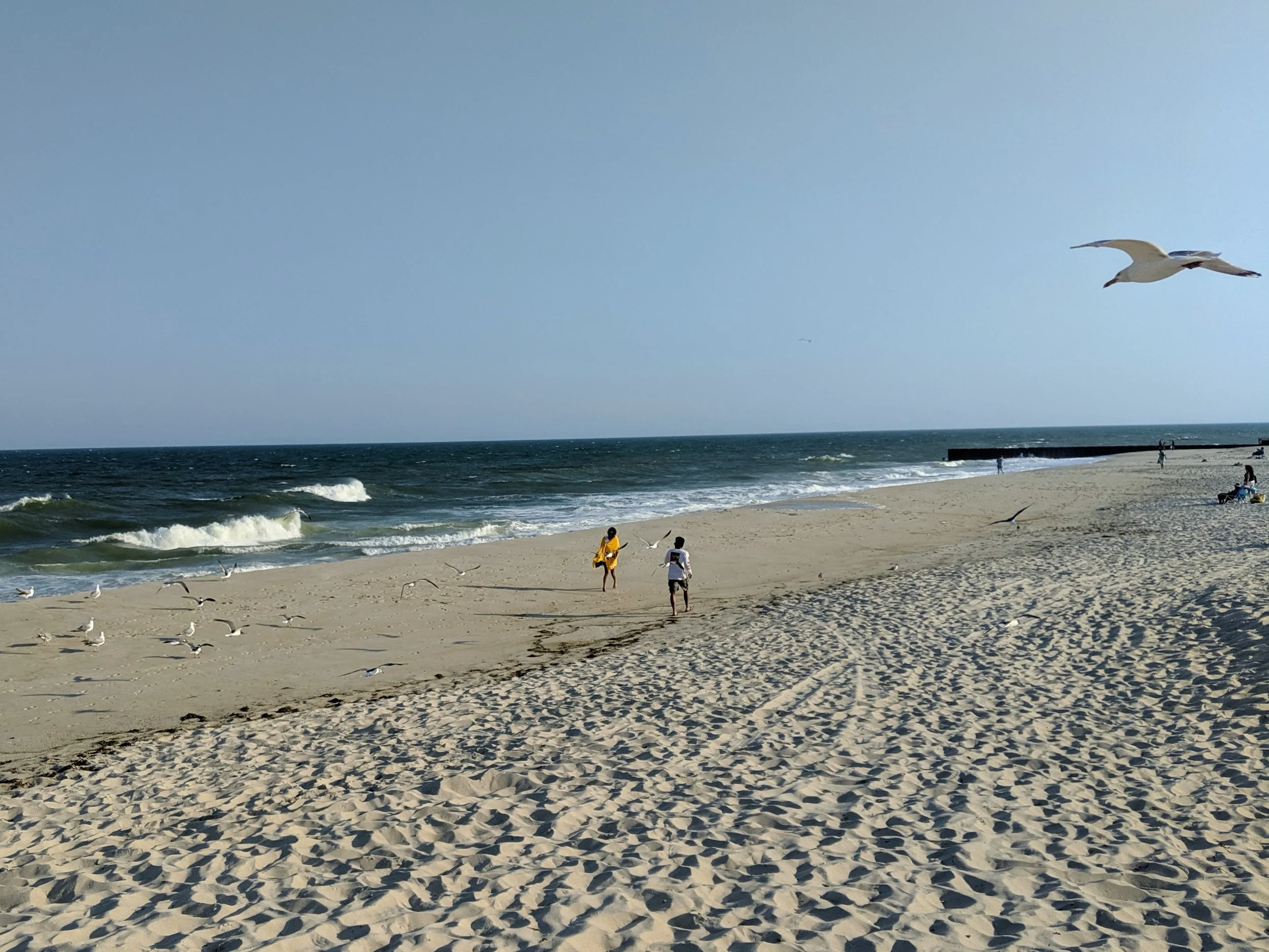 IMG_20190728_181938 (1).jpg