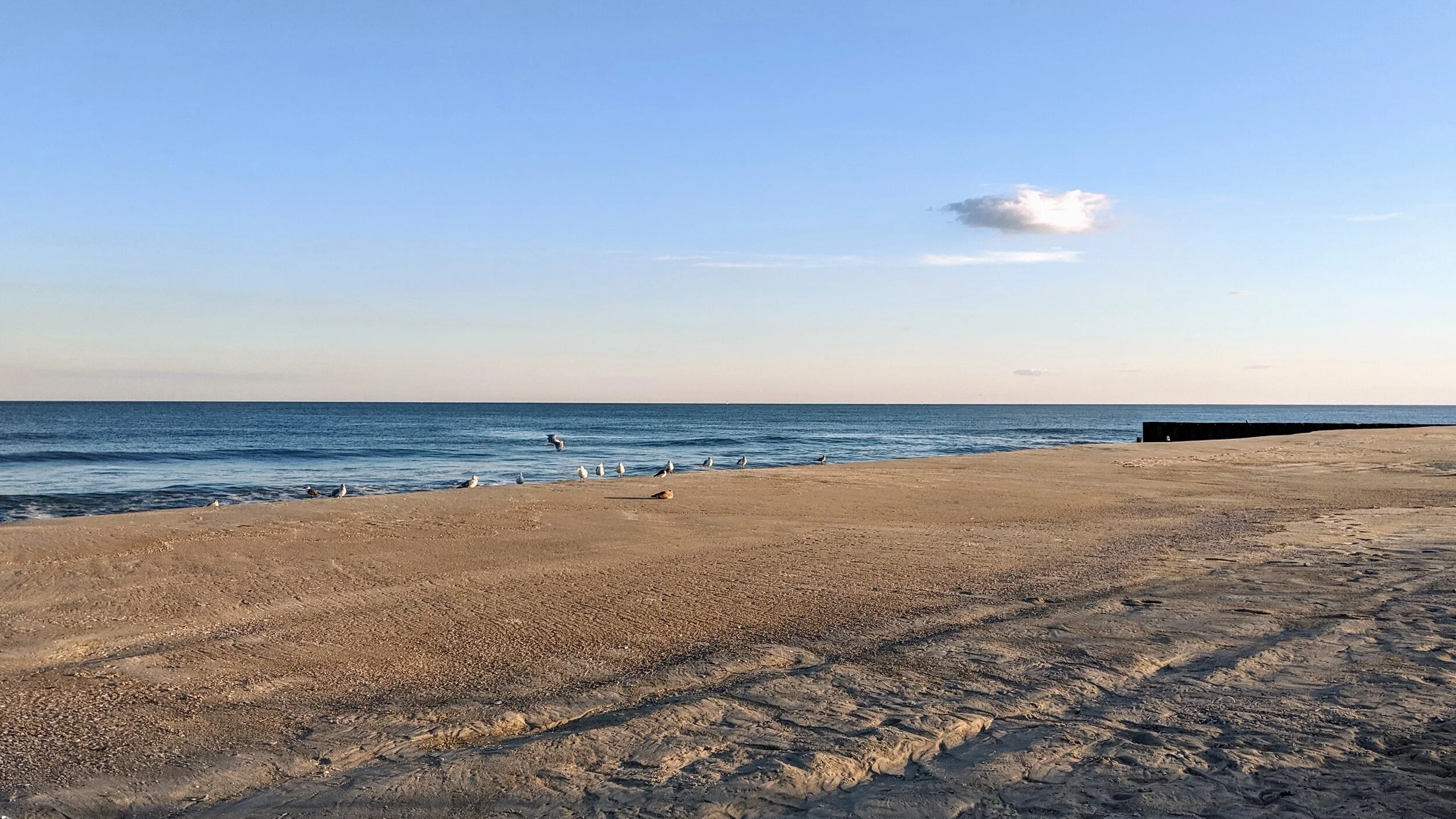 IMG_20190924_181528.jpg