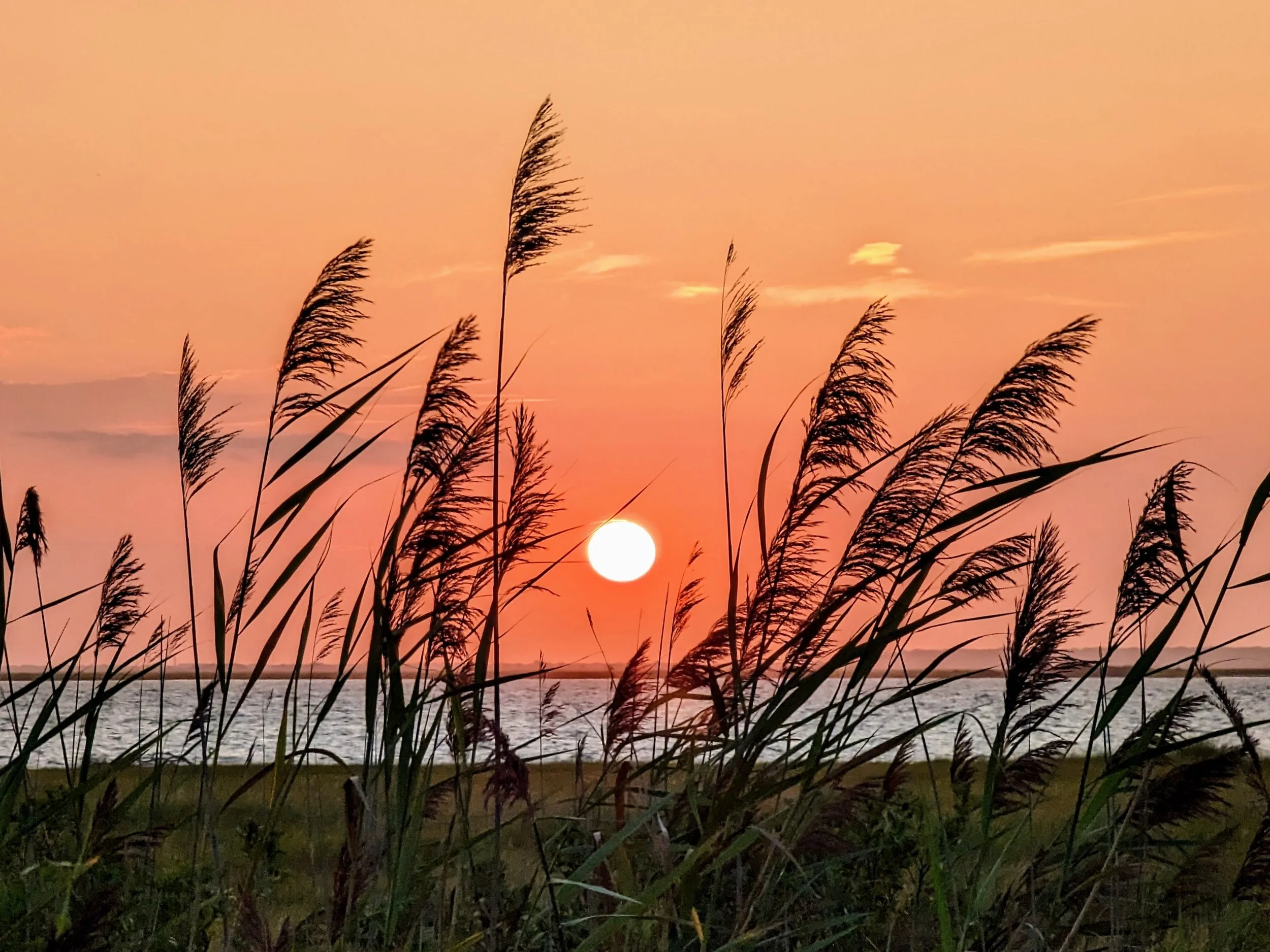 PXL_20230825_233132553-EDIT-px2.jpg