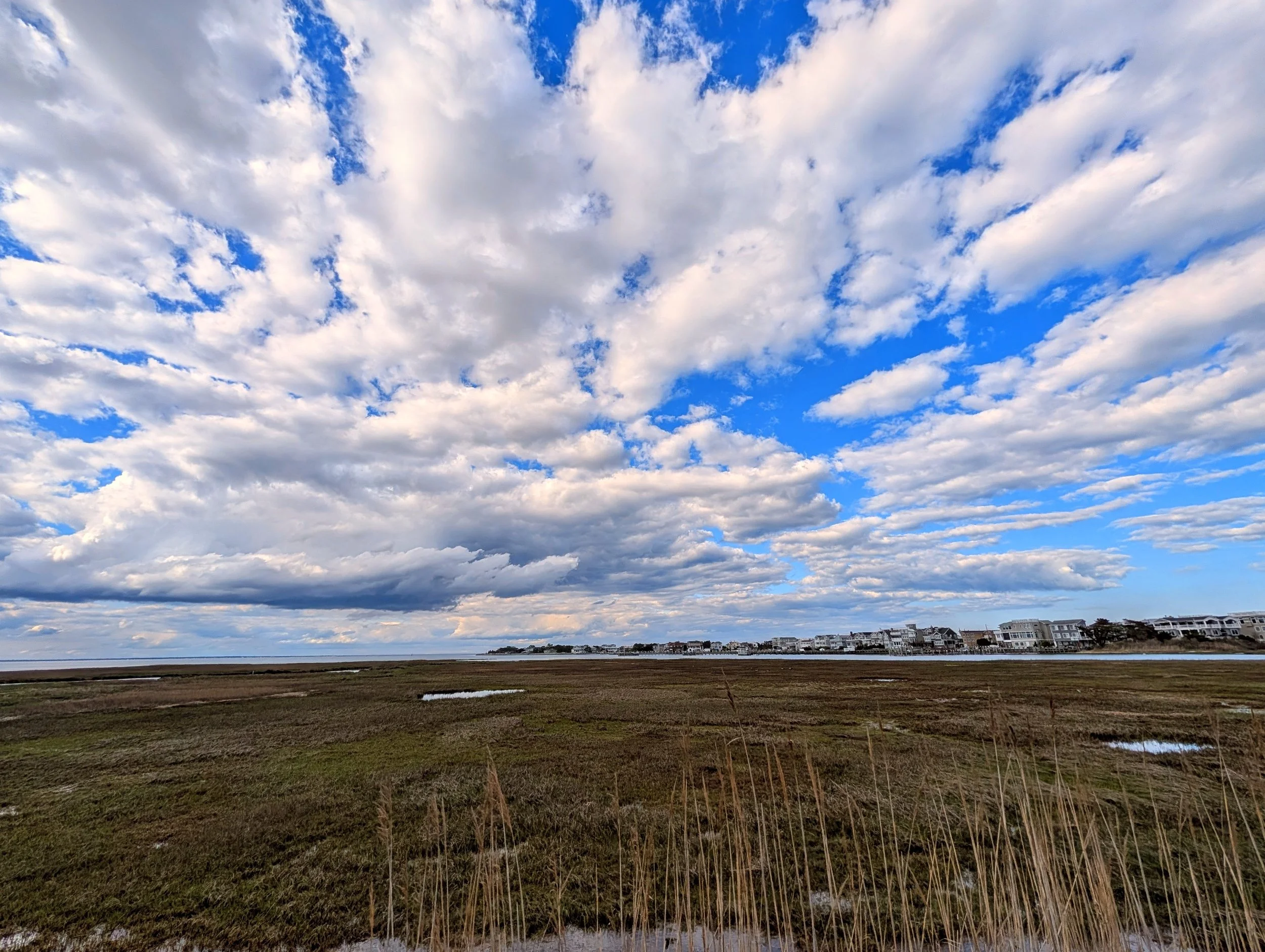 PXL_20260430_211547166-EDIT.jpg