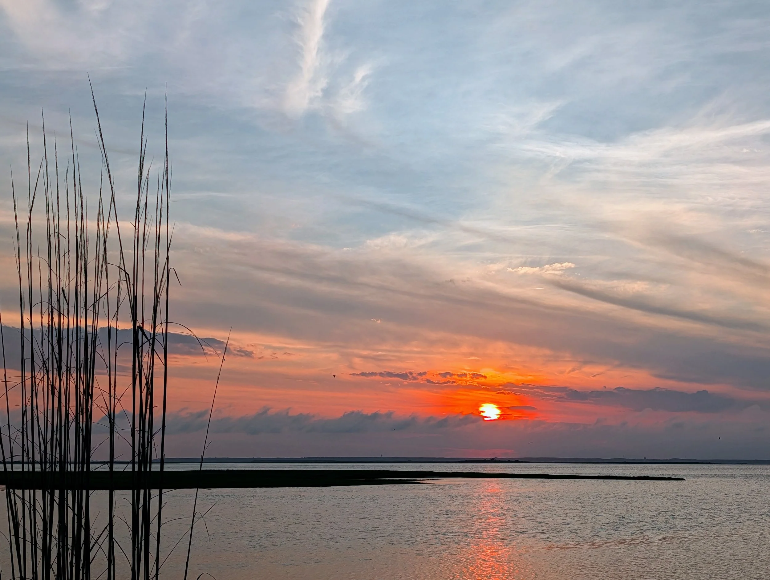 PXL_20260618_001157752 (1).jpg