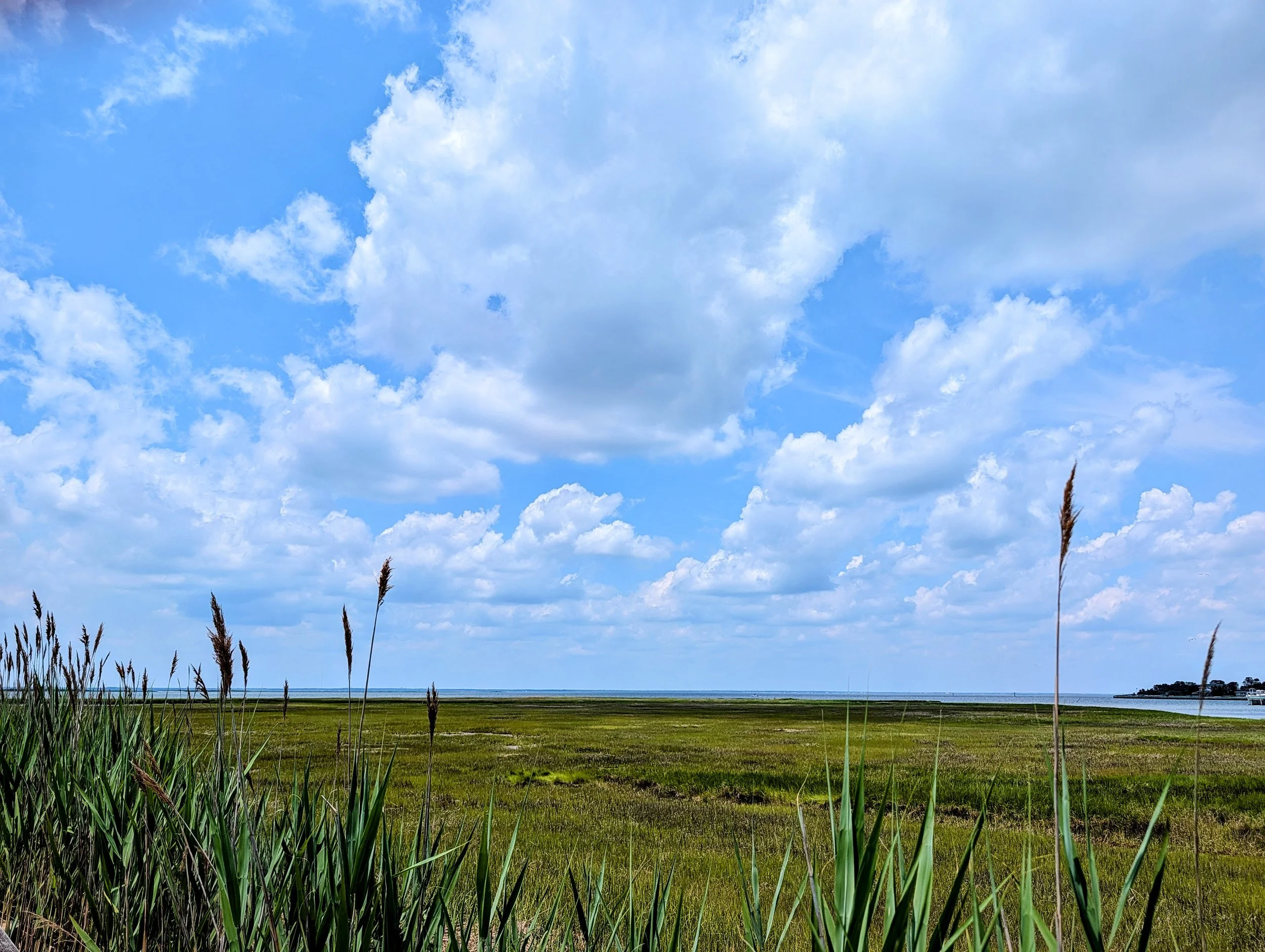 PXL_20260612_172137125-EDIT.jpg