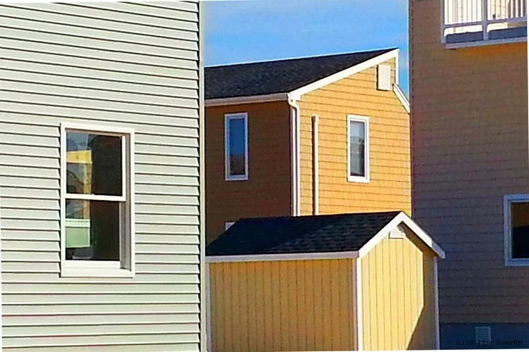 yellowshed.webp