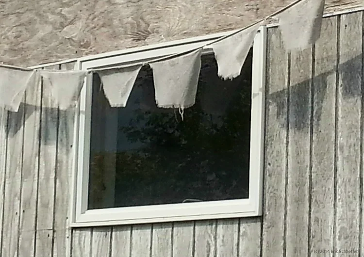 tattered2.webp
