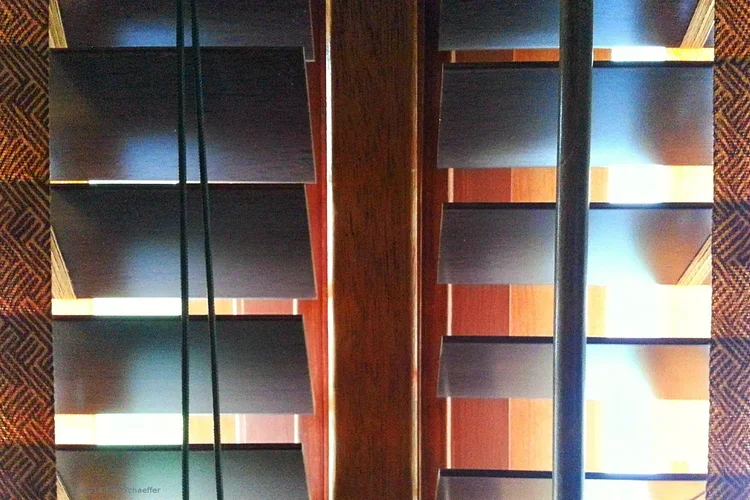 twoblinds.webp