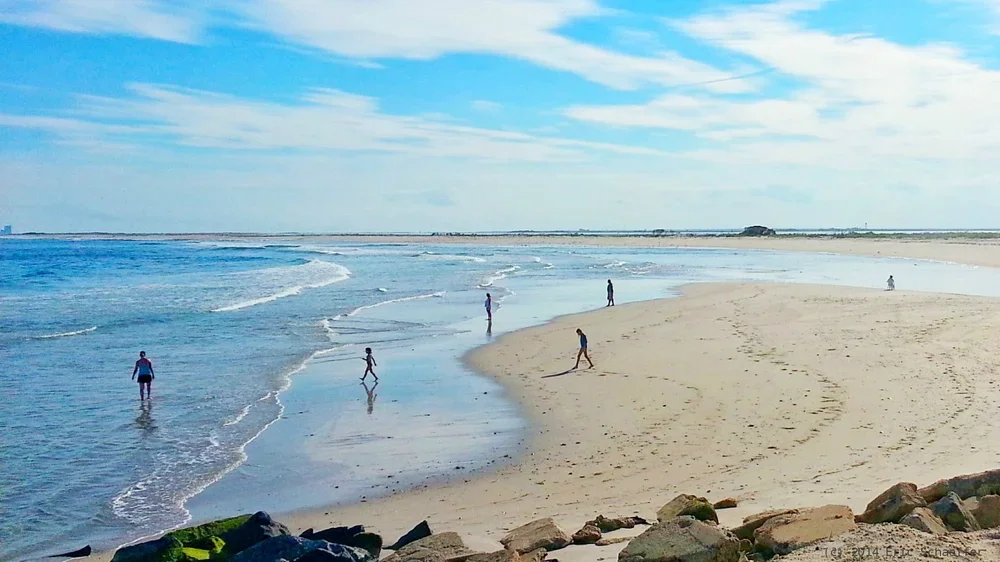 surferbeach.webp