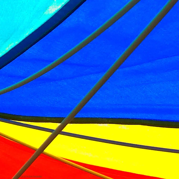 primarylines.webp