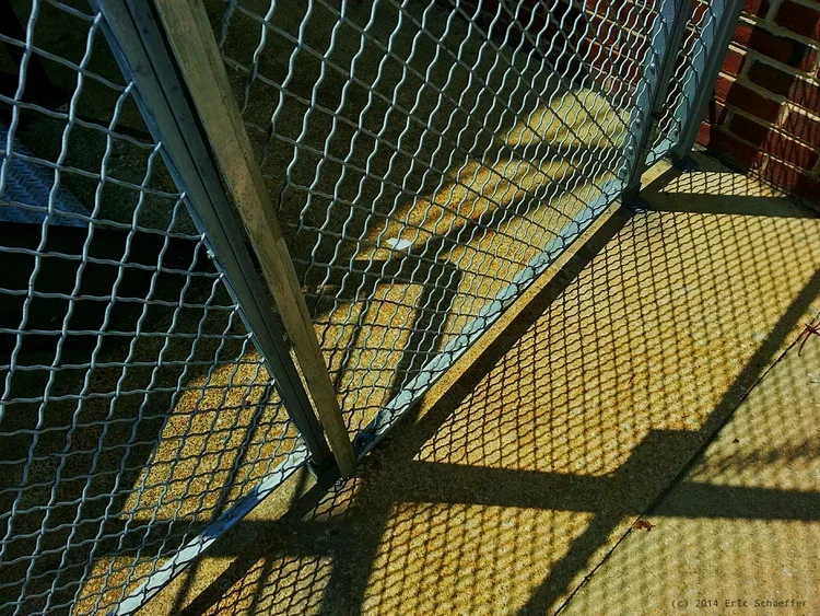 gated.webp