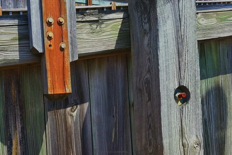 fivebolts.webp