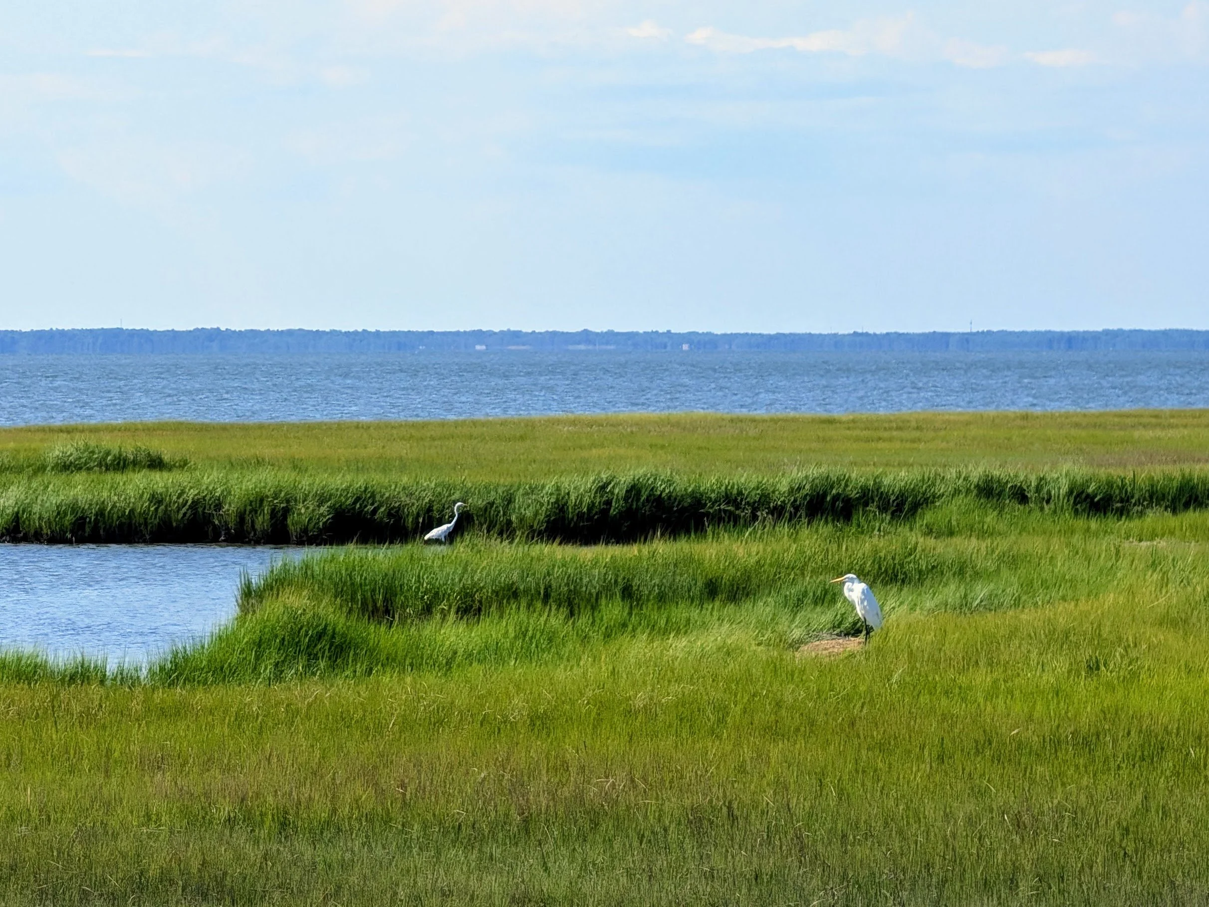 PXL_20260713_200911762 (1).jpg