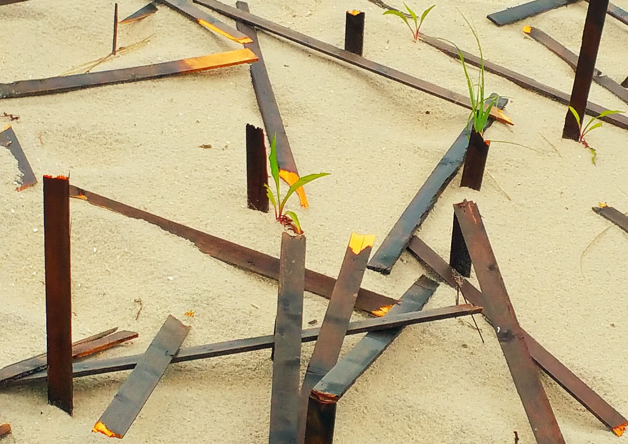 strewn.webp