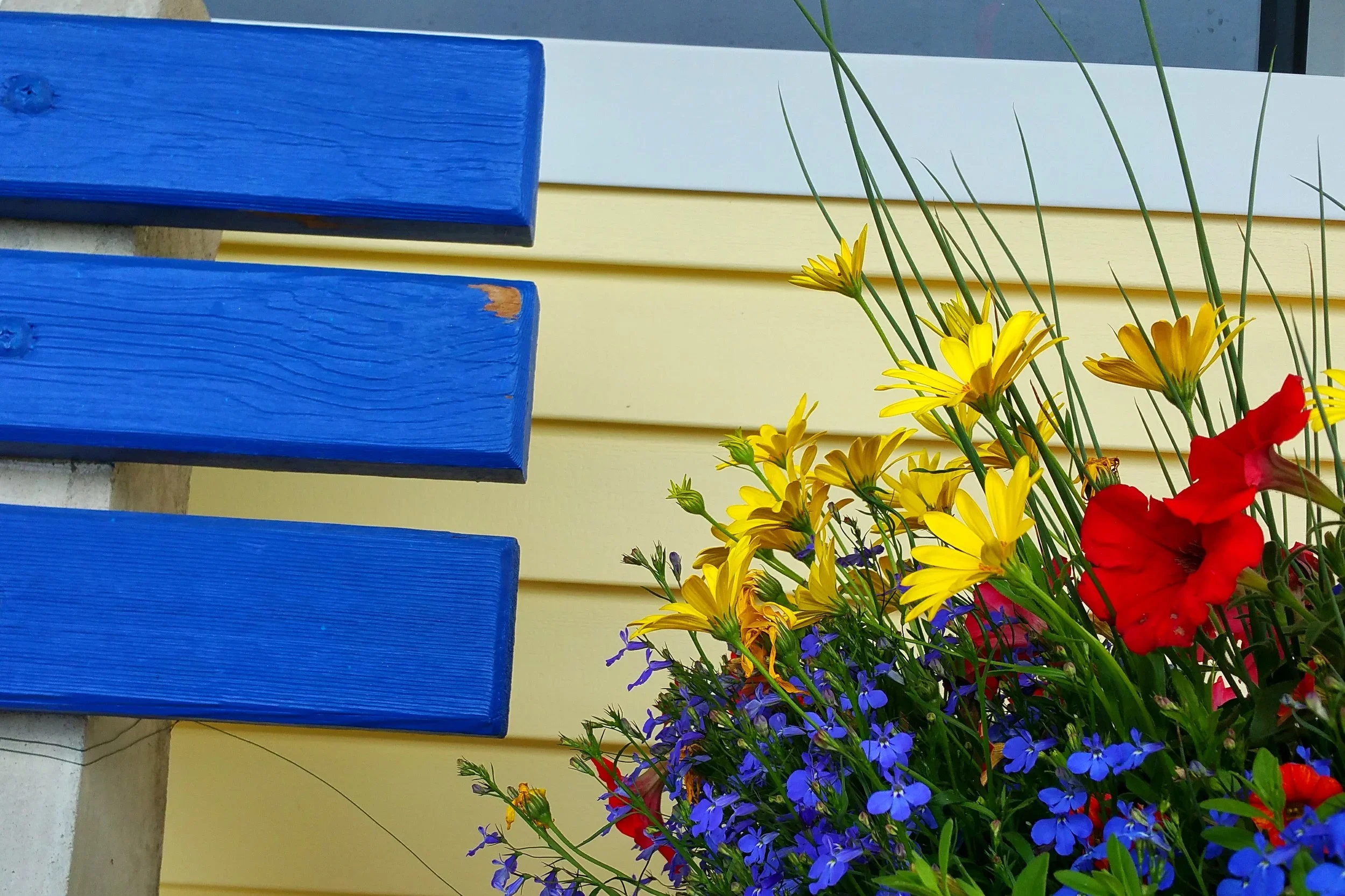 blue-bench-flowers.webp