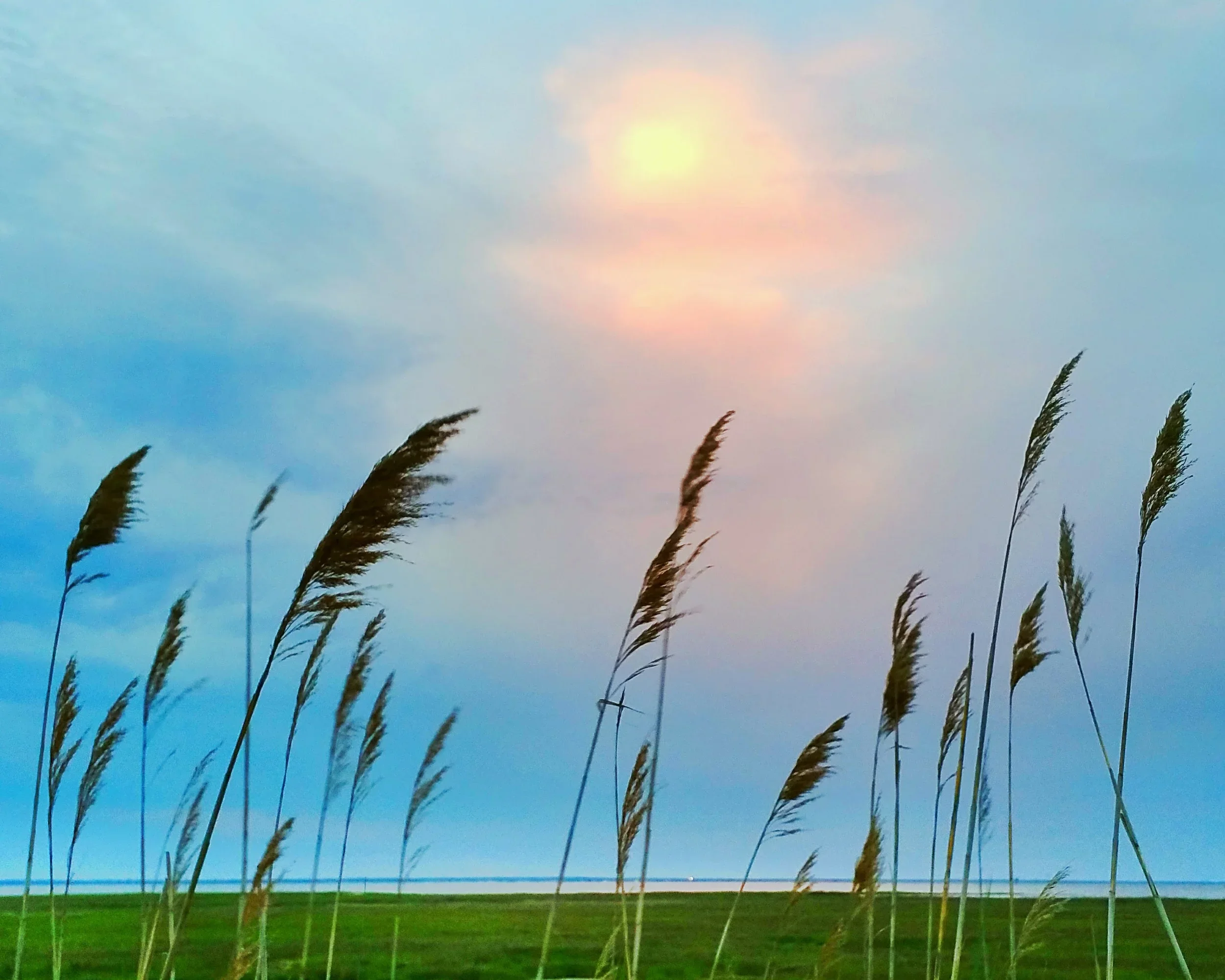 20150515_200811.webp