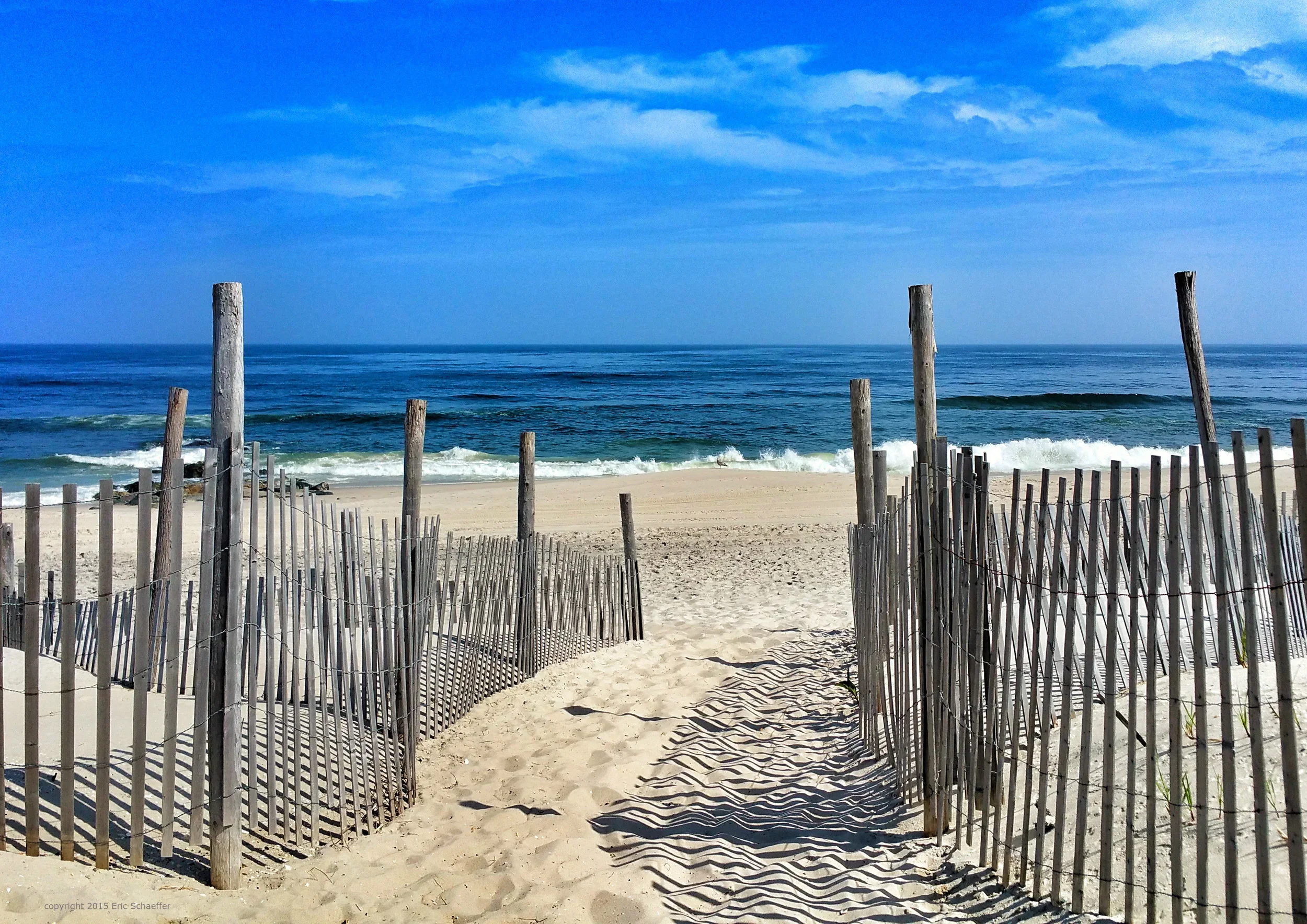 beachdaymay.webp