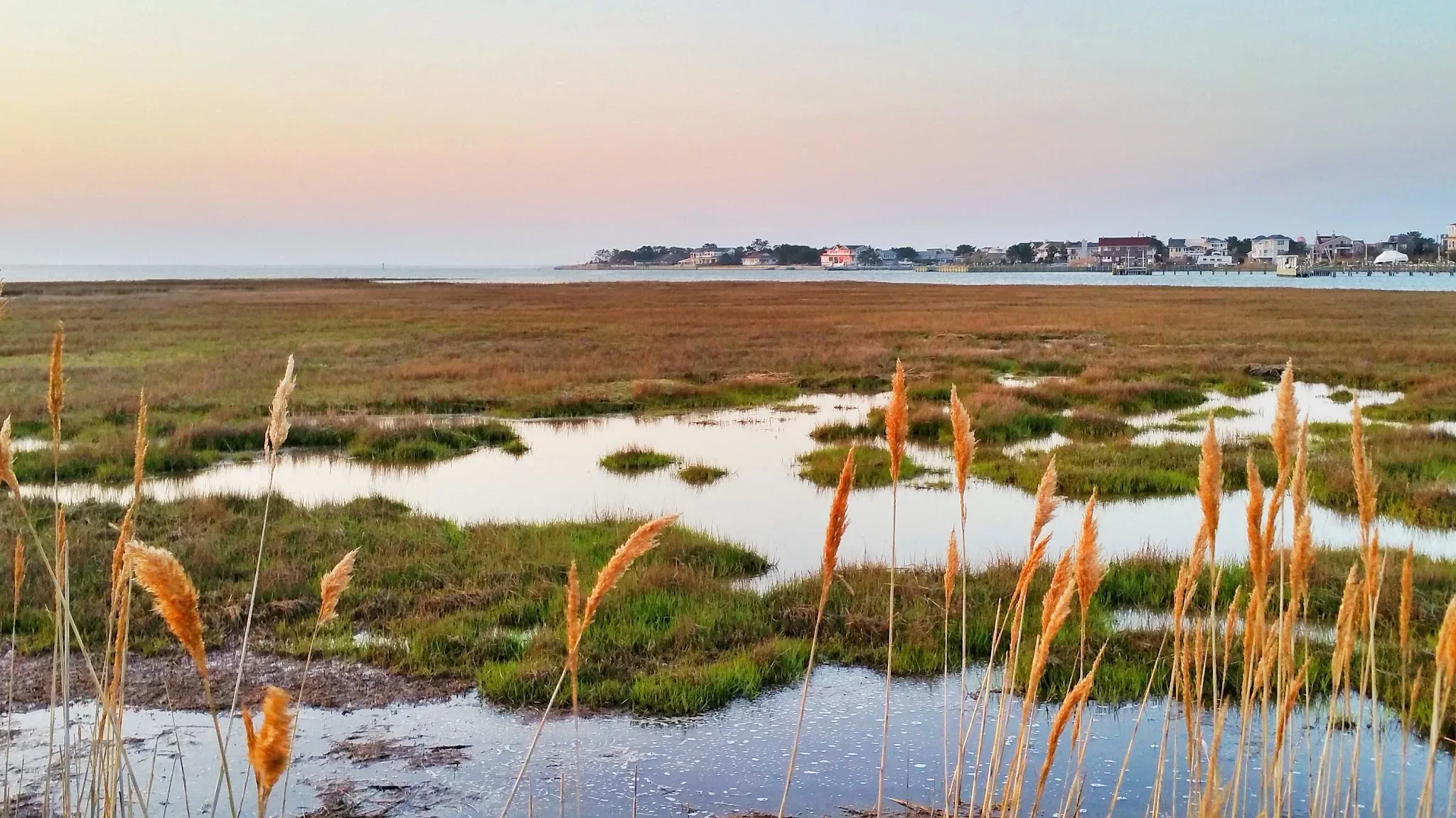 u-wetlands.webp