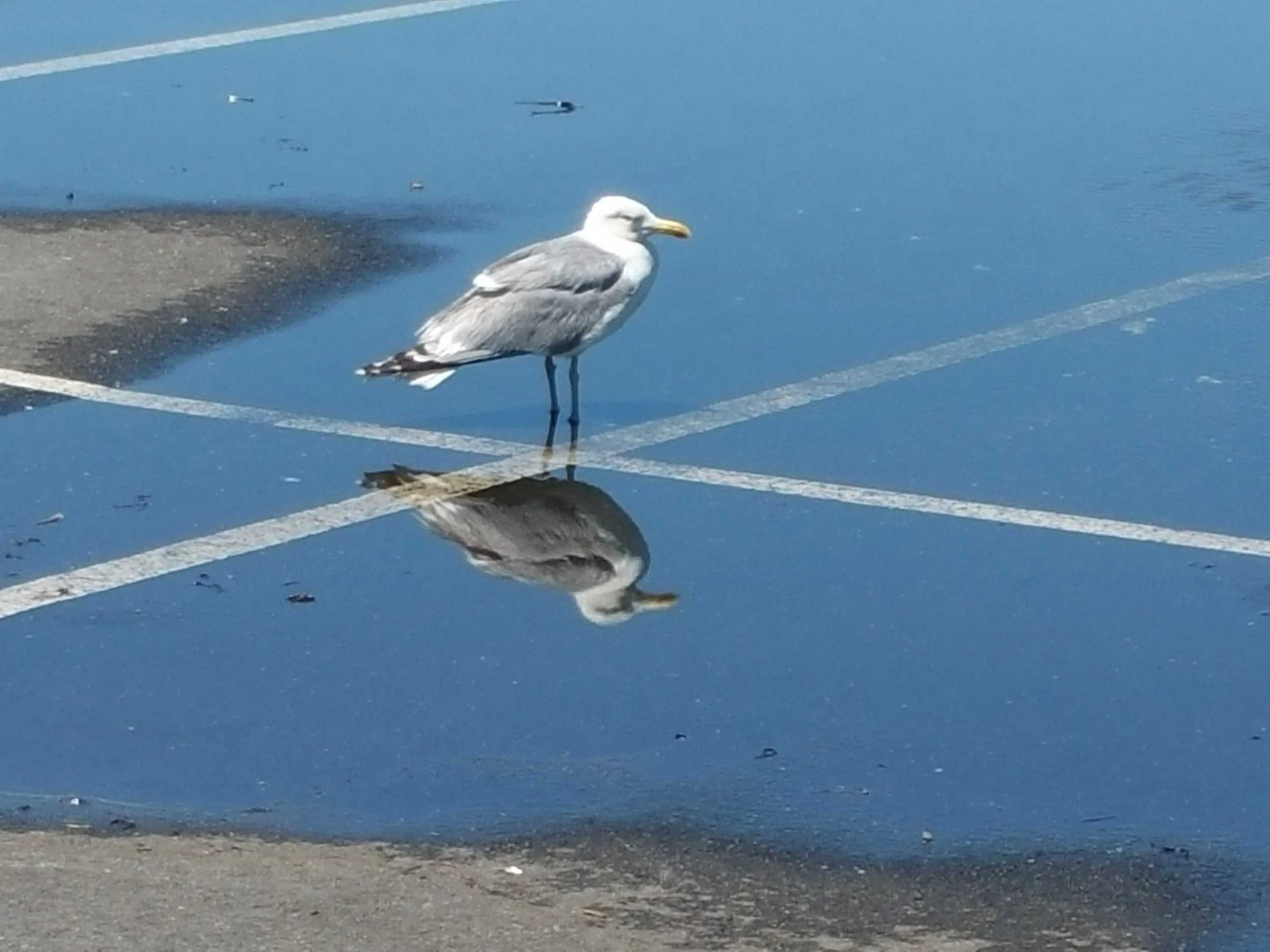 20150622_120247.jpg