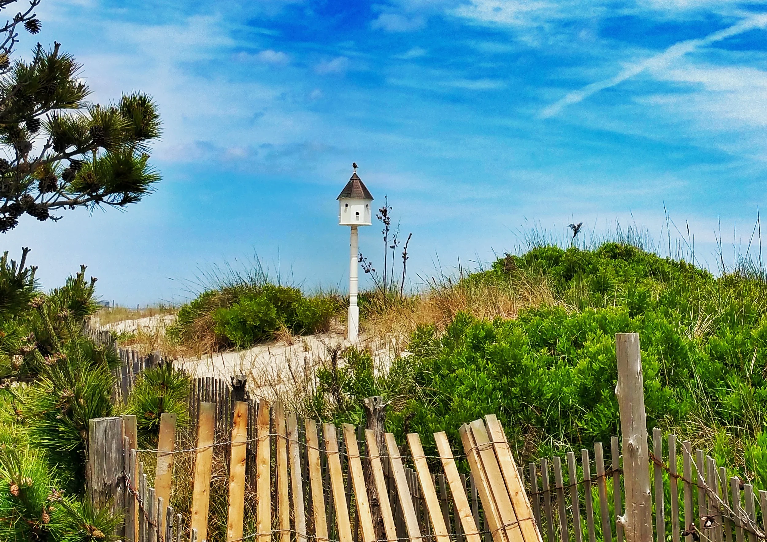 20150613_140913.jpg