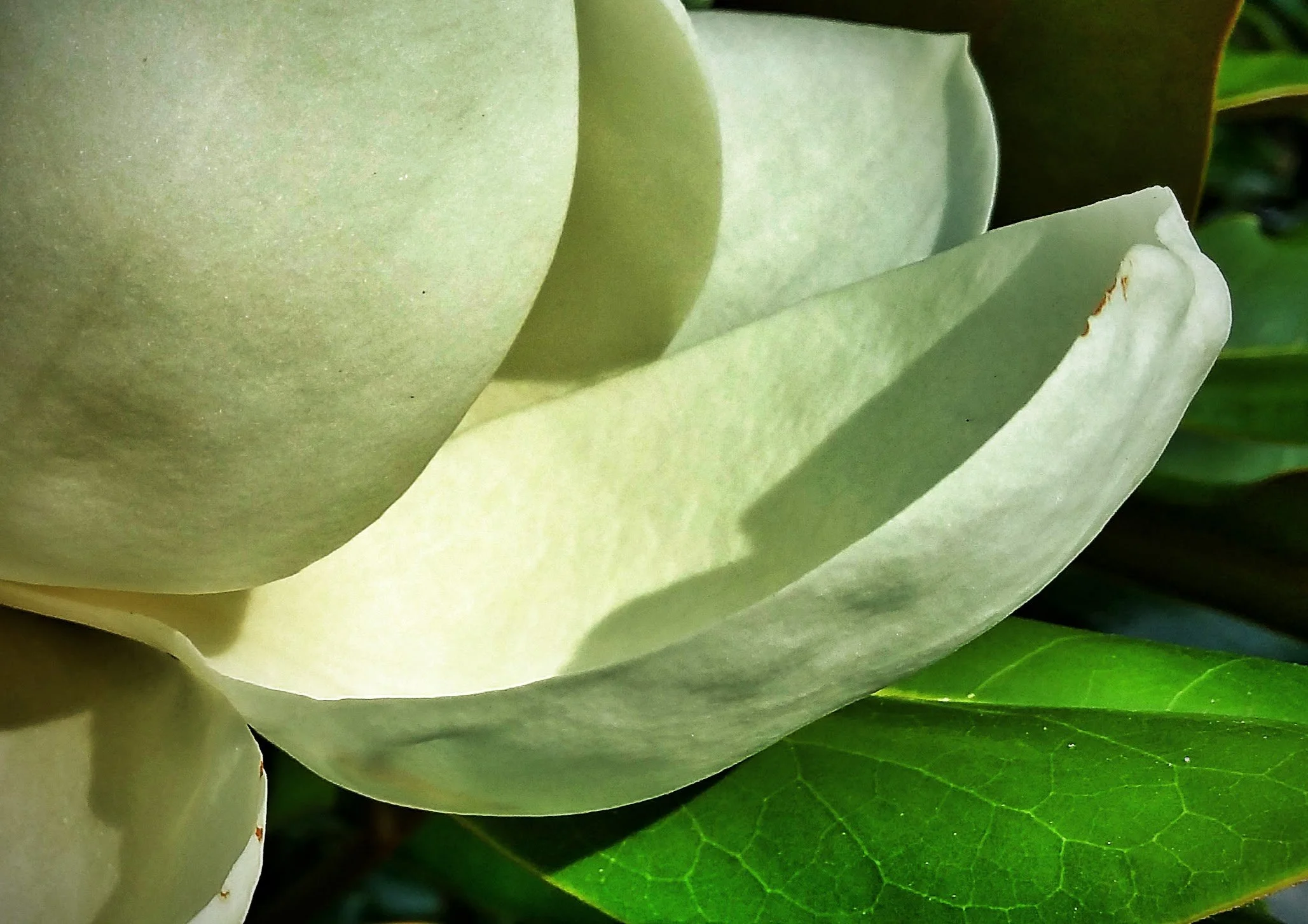 20150829_094108.jpg