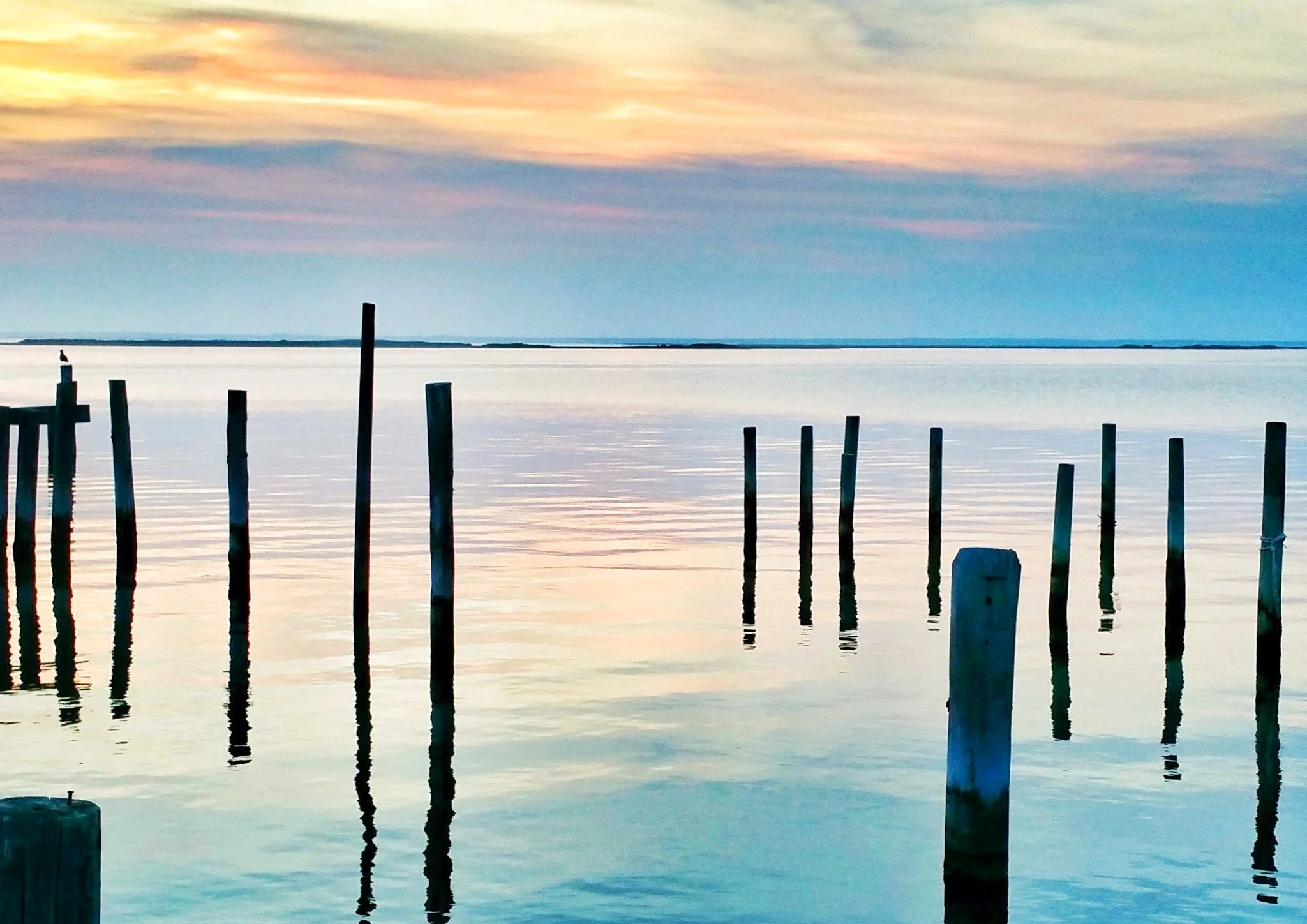 evening-dock-posts.jpg