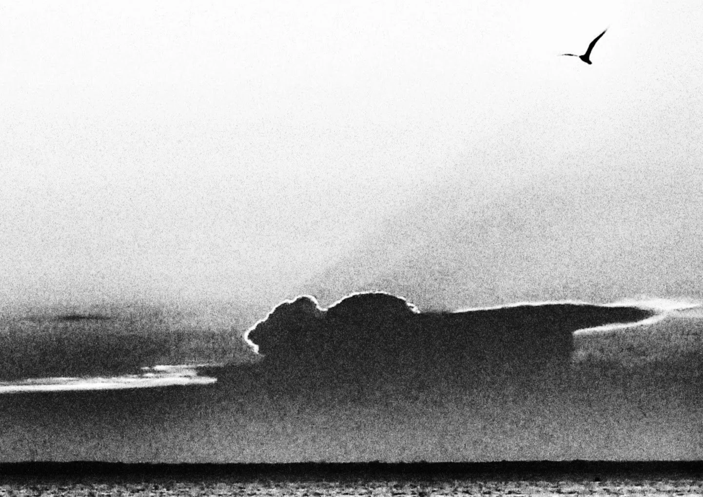 on-wings-bw-C.jpg