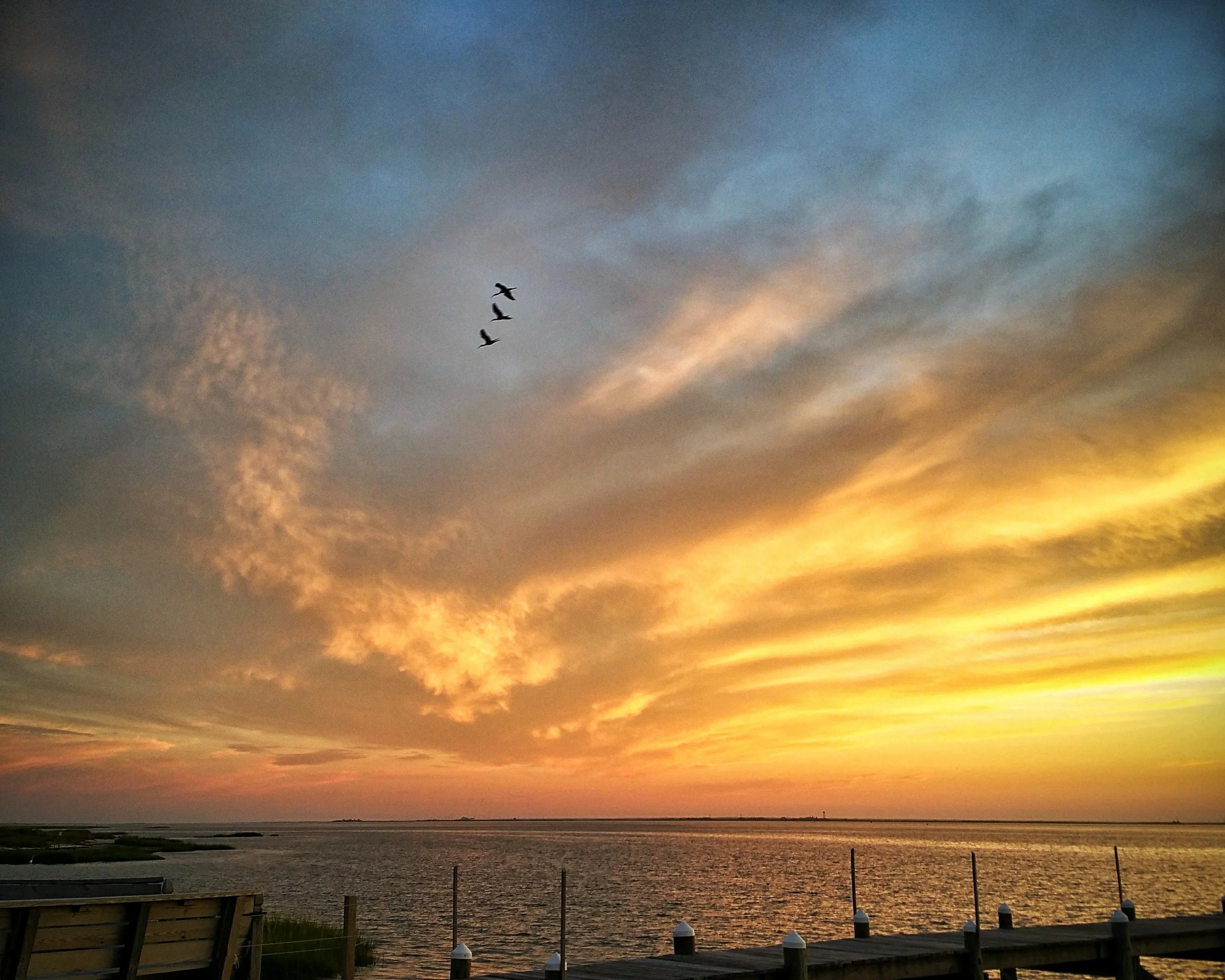 20150802_200716.jpg