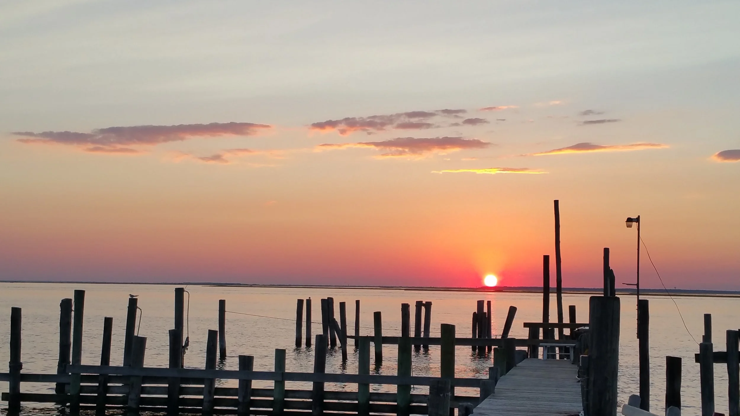 20150801_200520.jpg
