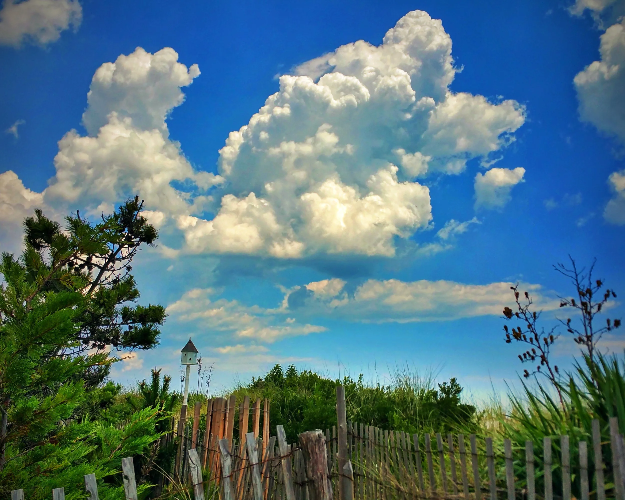 20150801_131606.jpg
