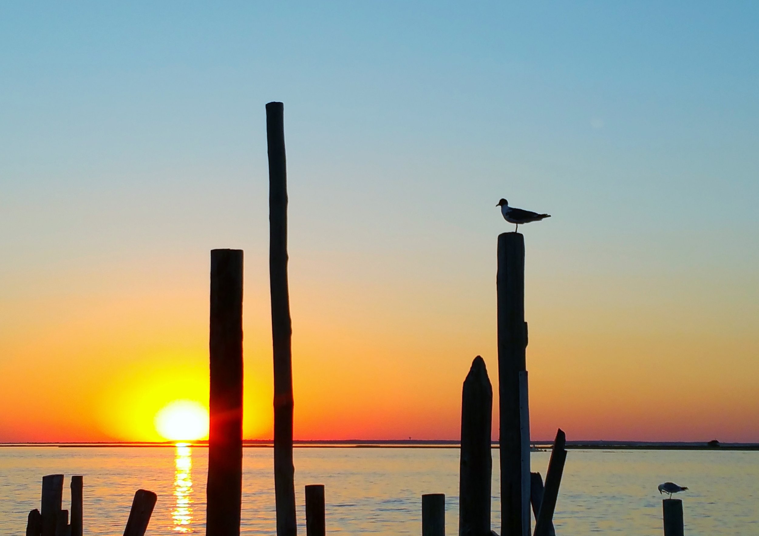 20150731_200521.jpg