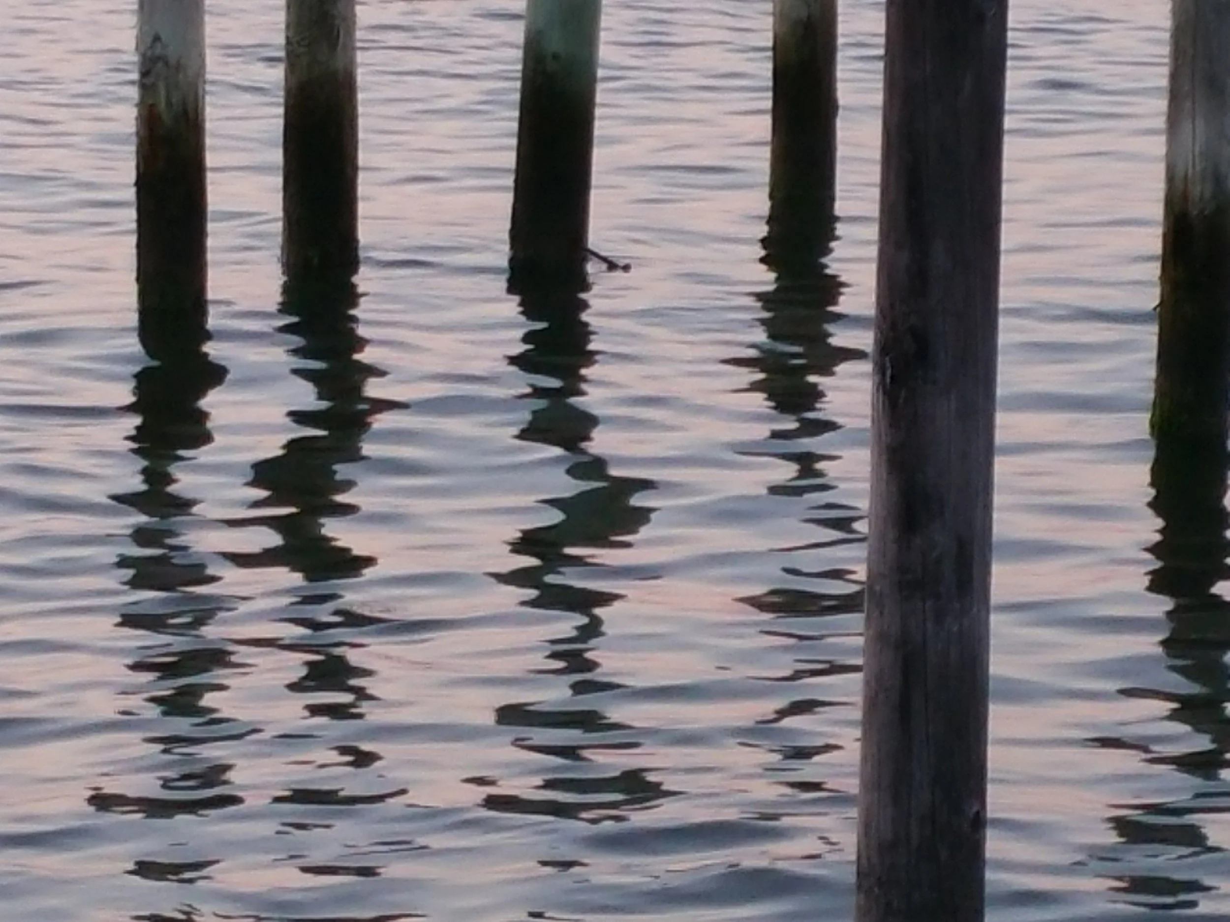 20150725_201104.jpg