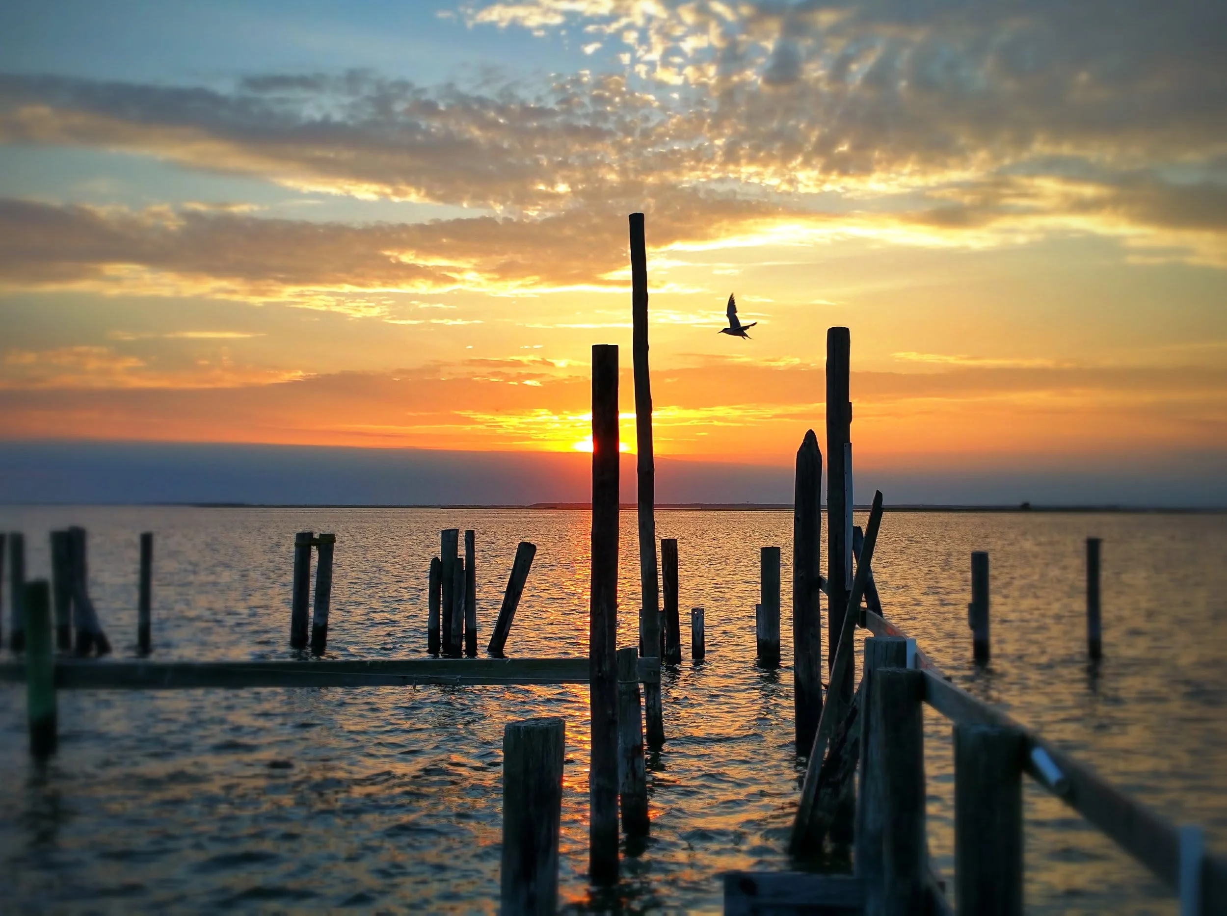 20150717_200519.jpg