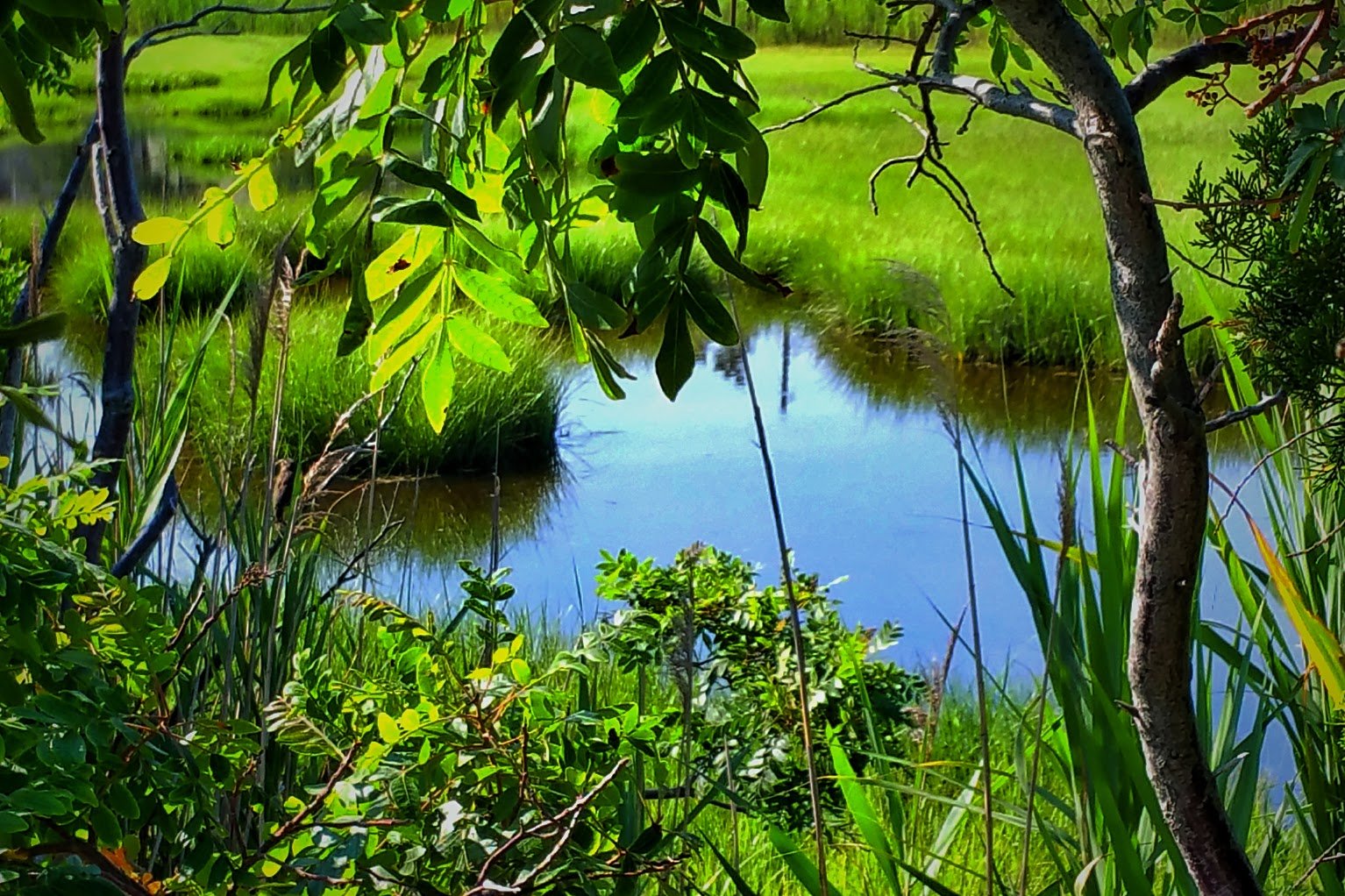 20150717_092316.jpg