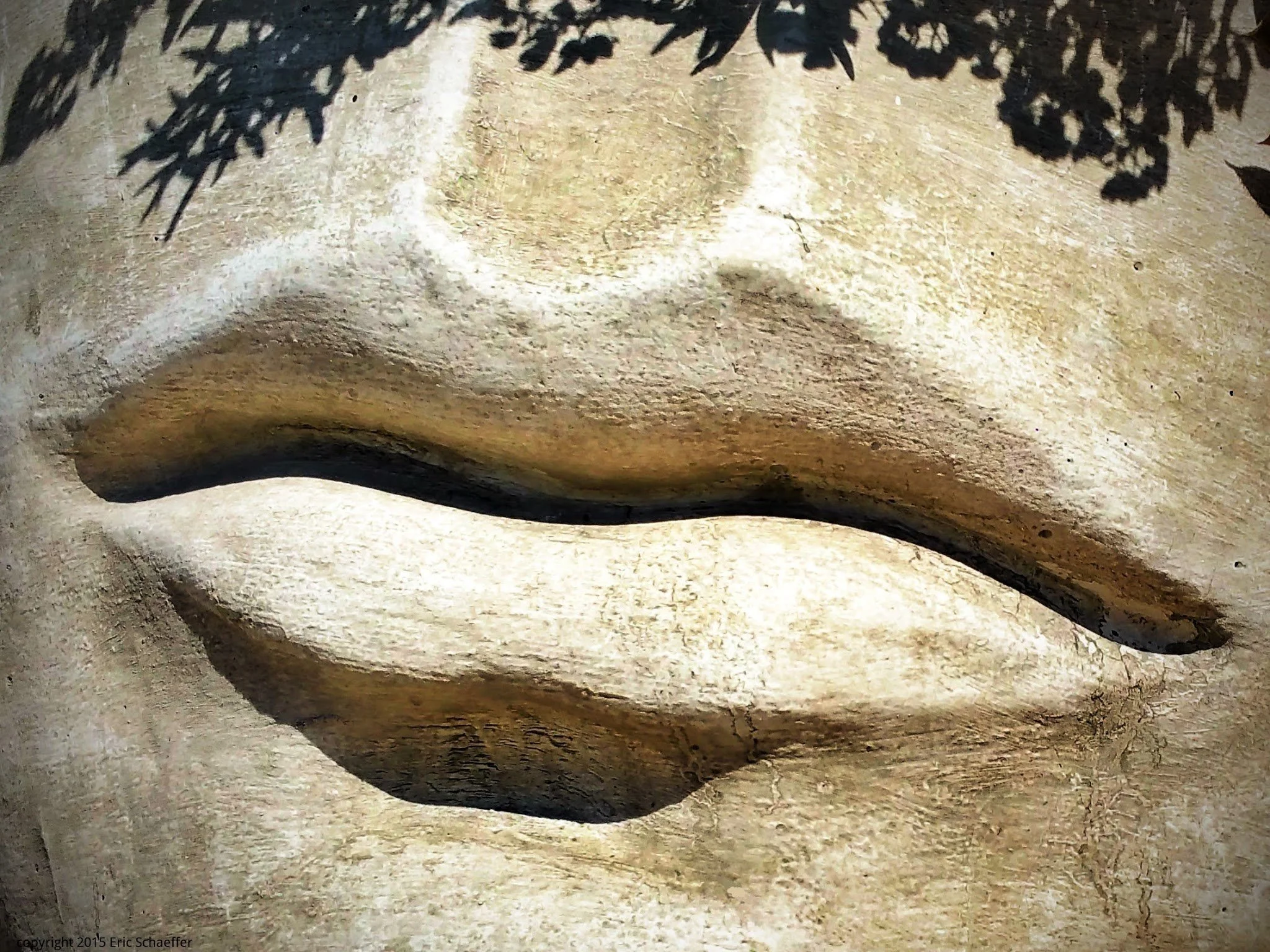big-lips1-C85.jpg