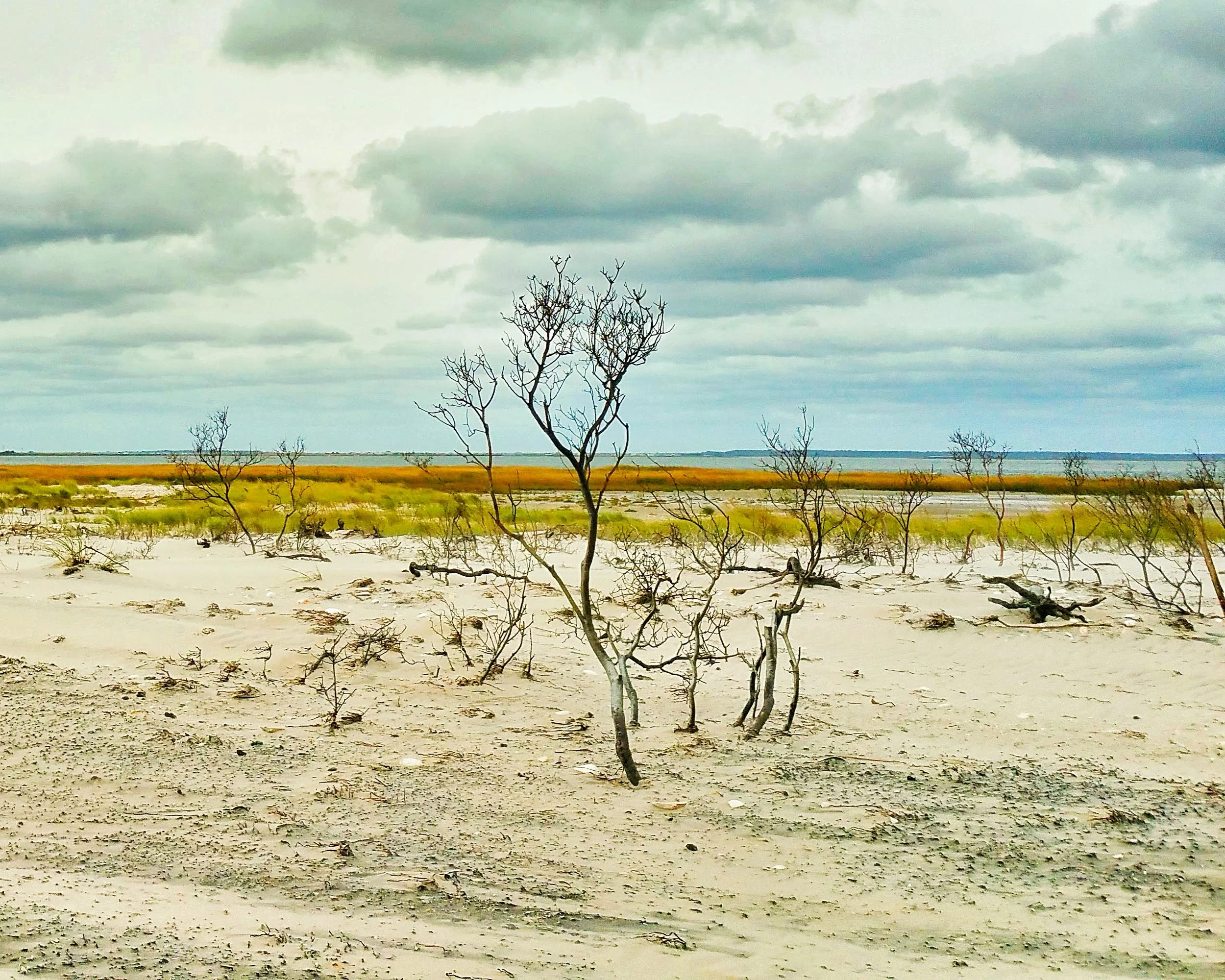 20150926_120559.jpg