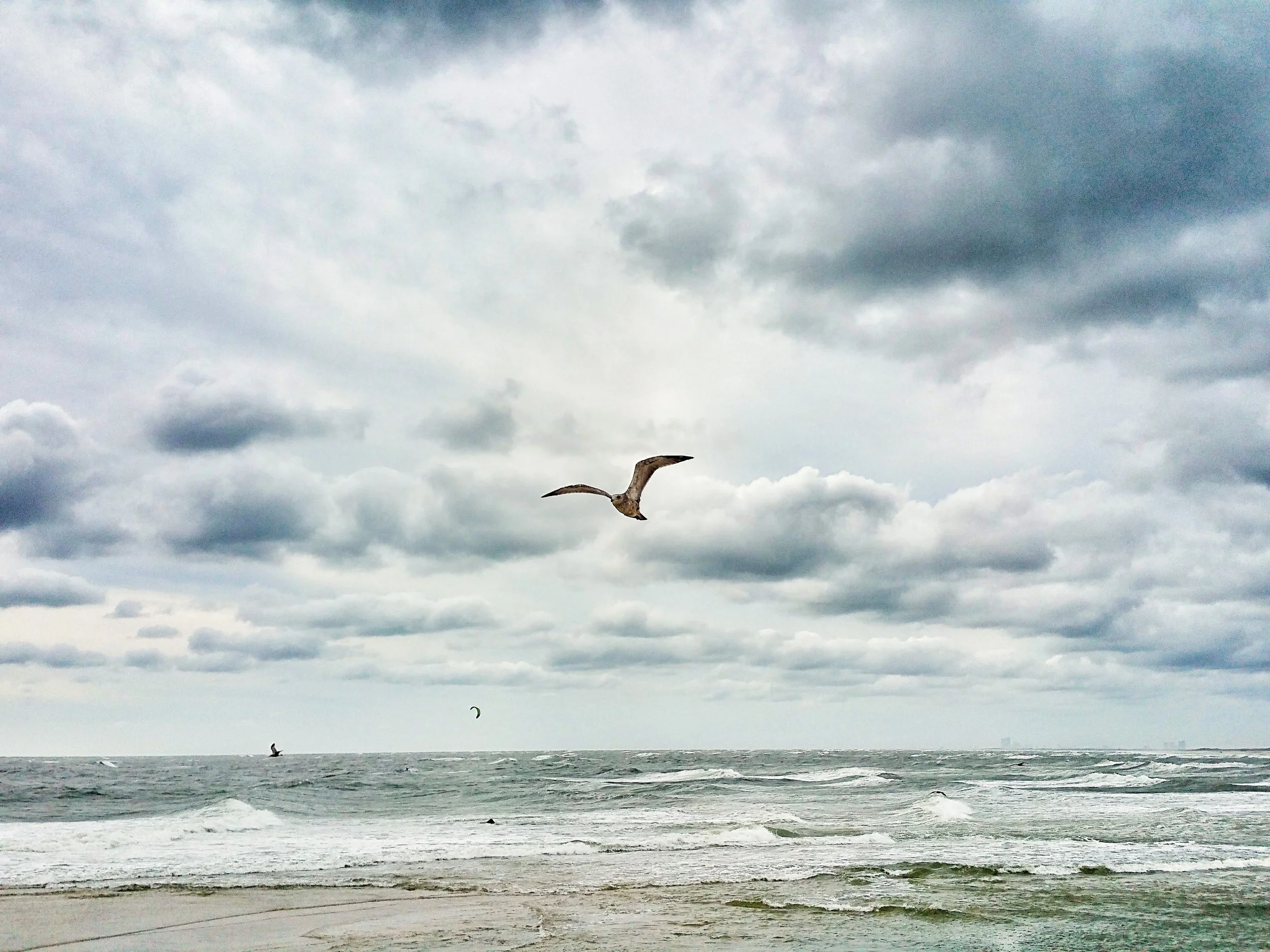 20150926_114510.jpg