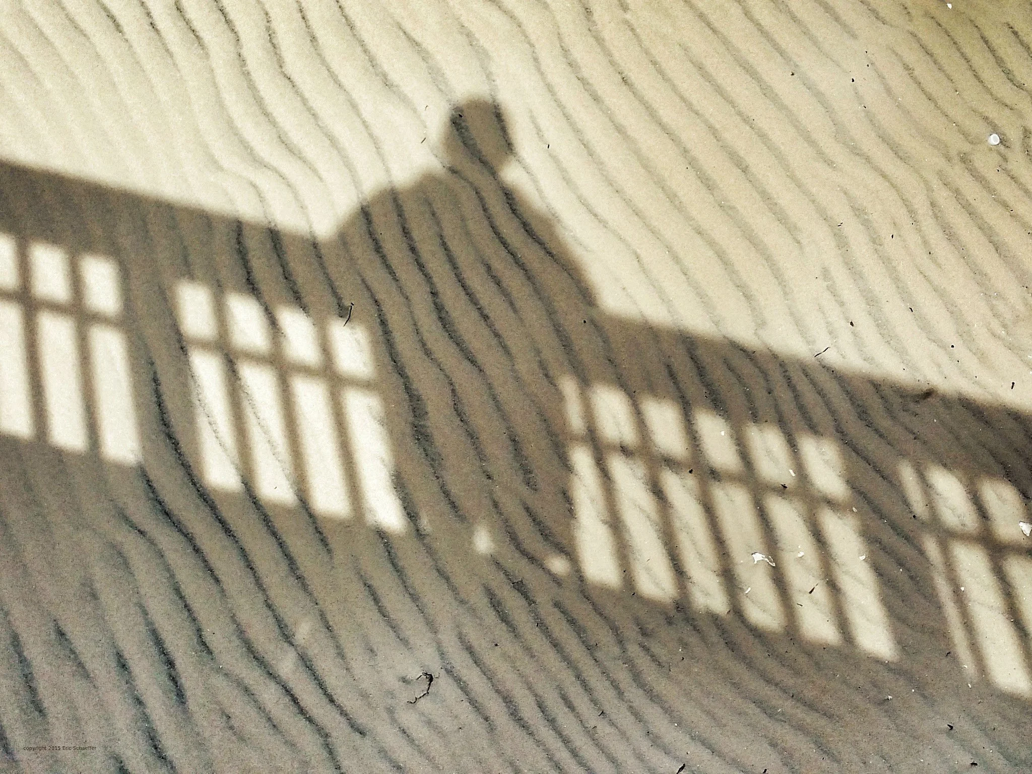 sand-shadow-selfie-c.jpg
