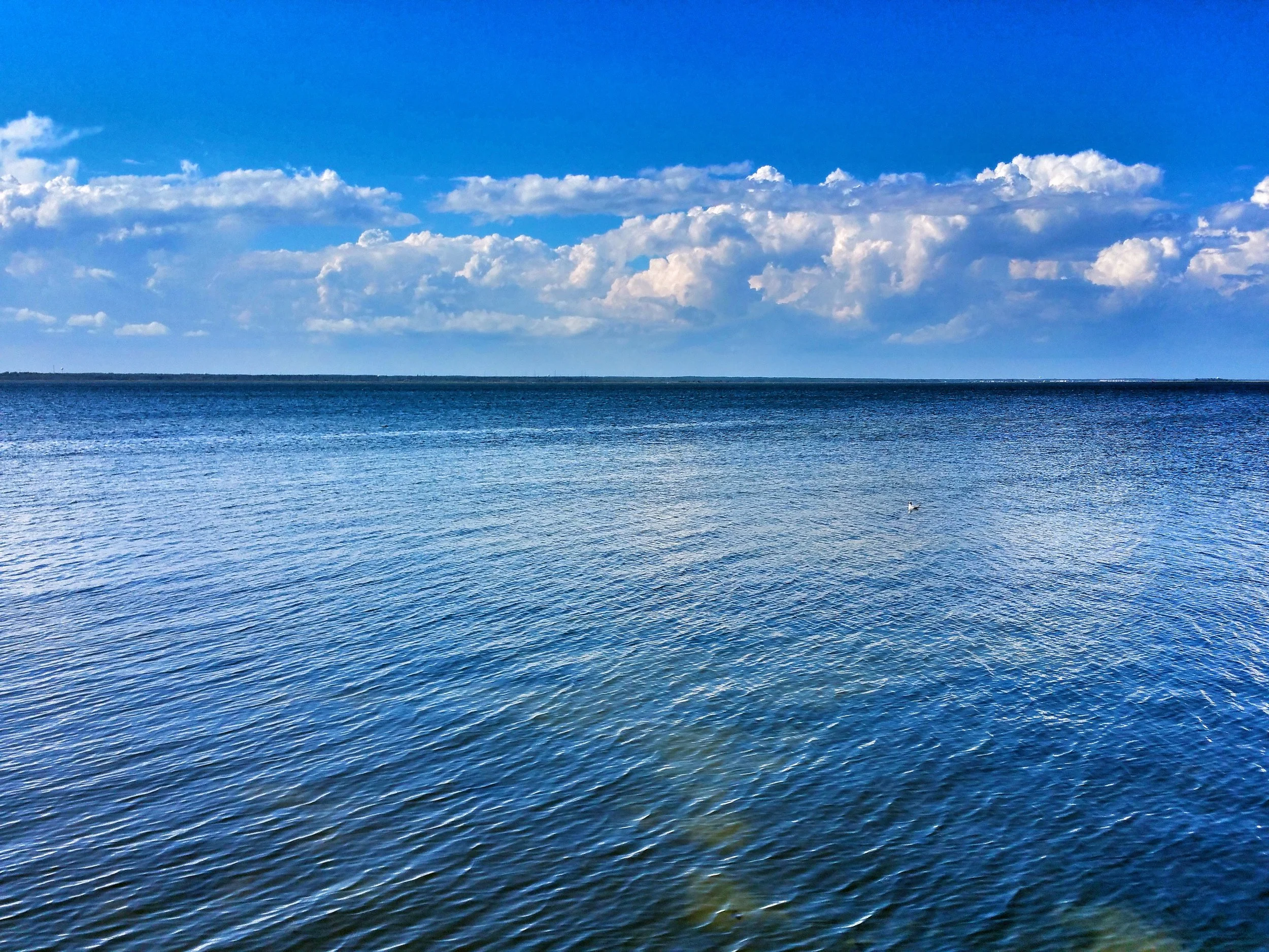 20150909_154755.jpg
