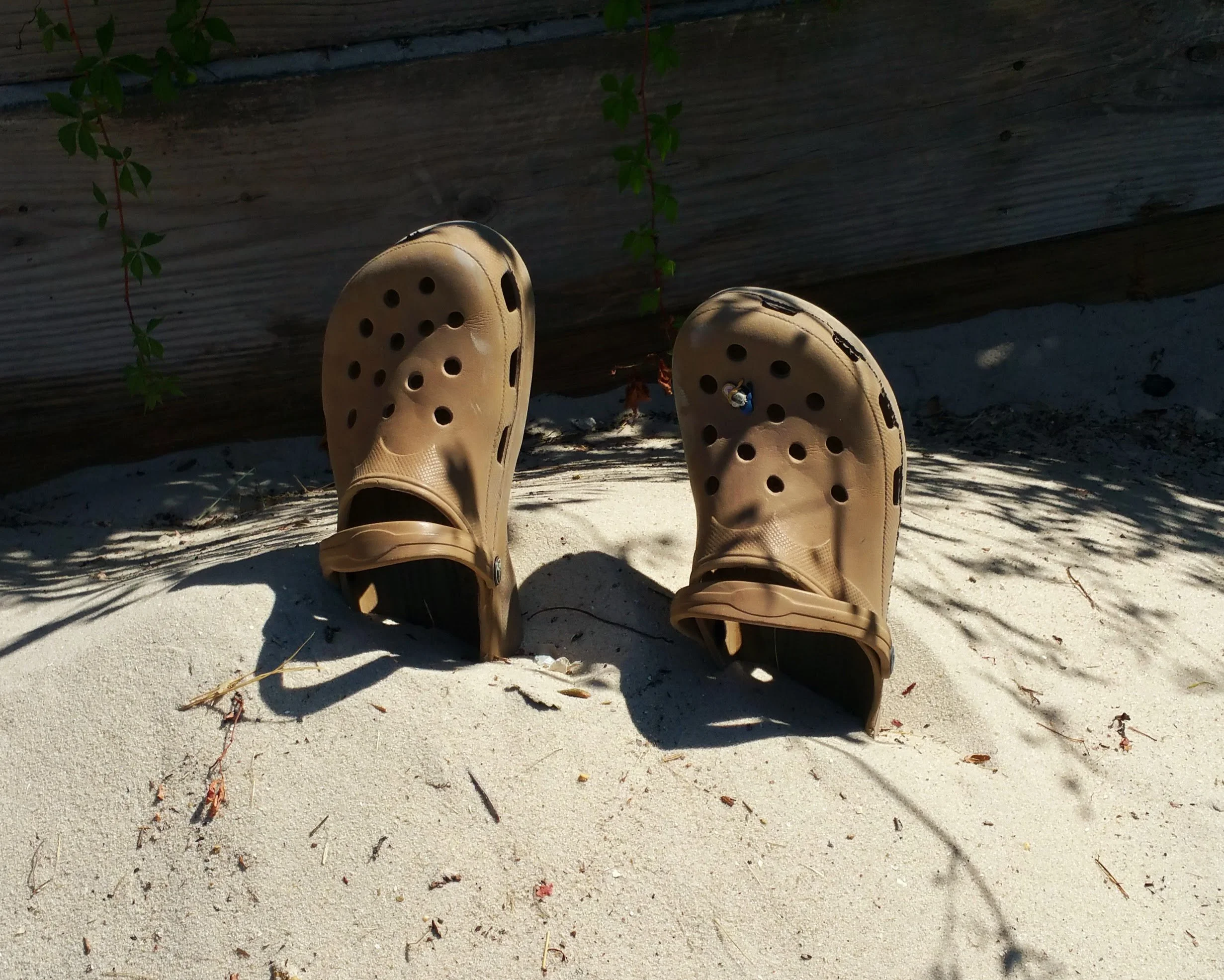 20150907_125013.jpg