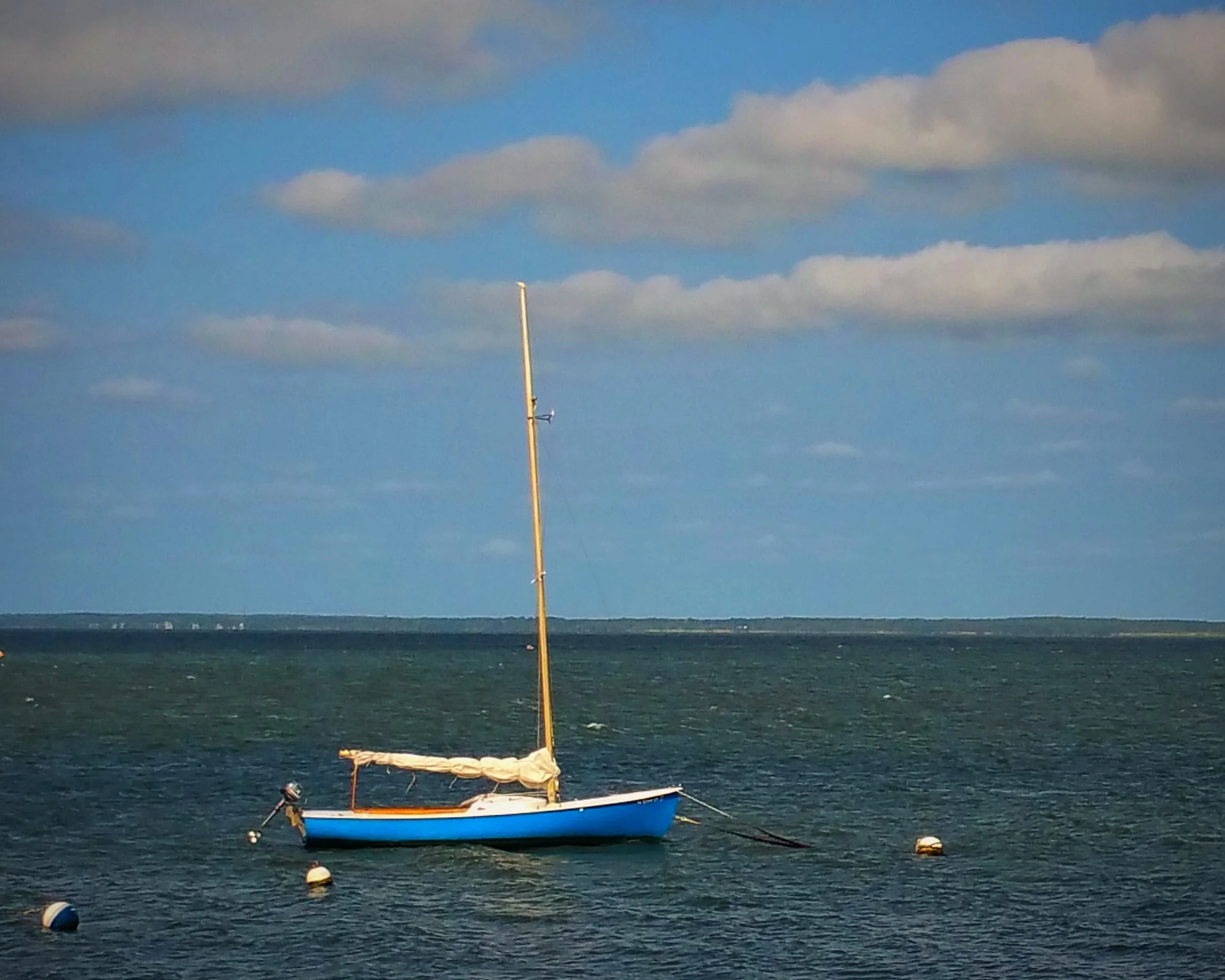20150905_100006.jpg