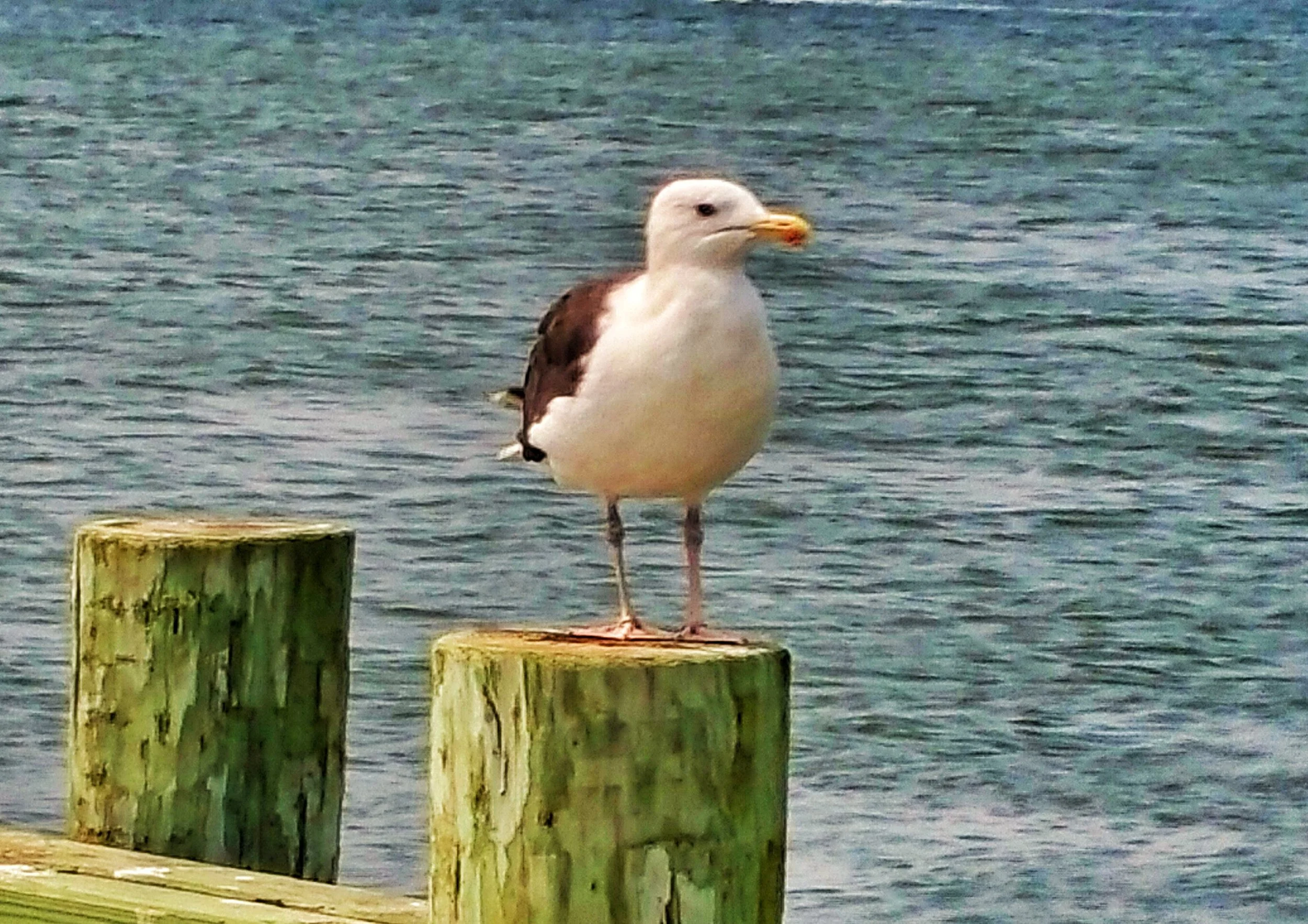20150904_124751.jpg