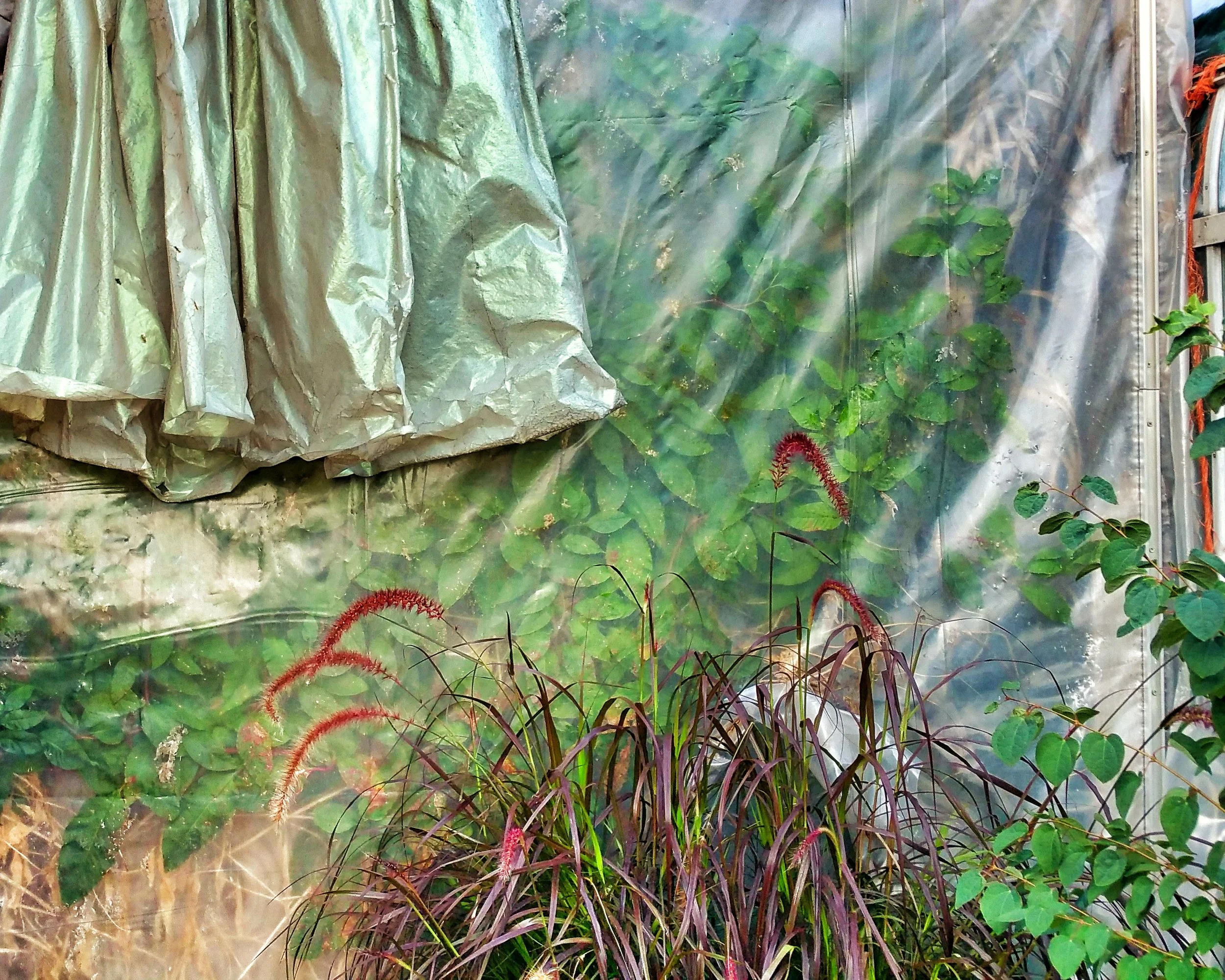 20150901_151852.jpg