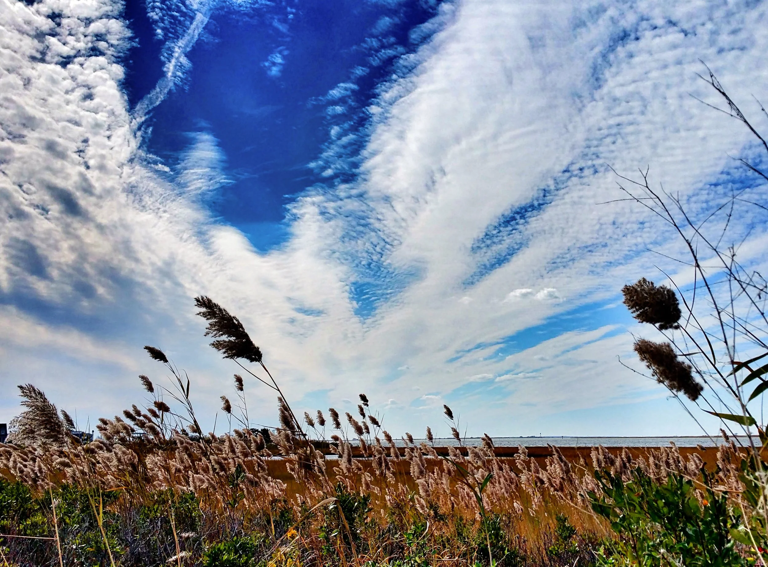 marsh-sky.jpg