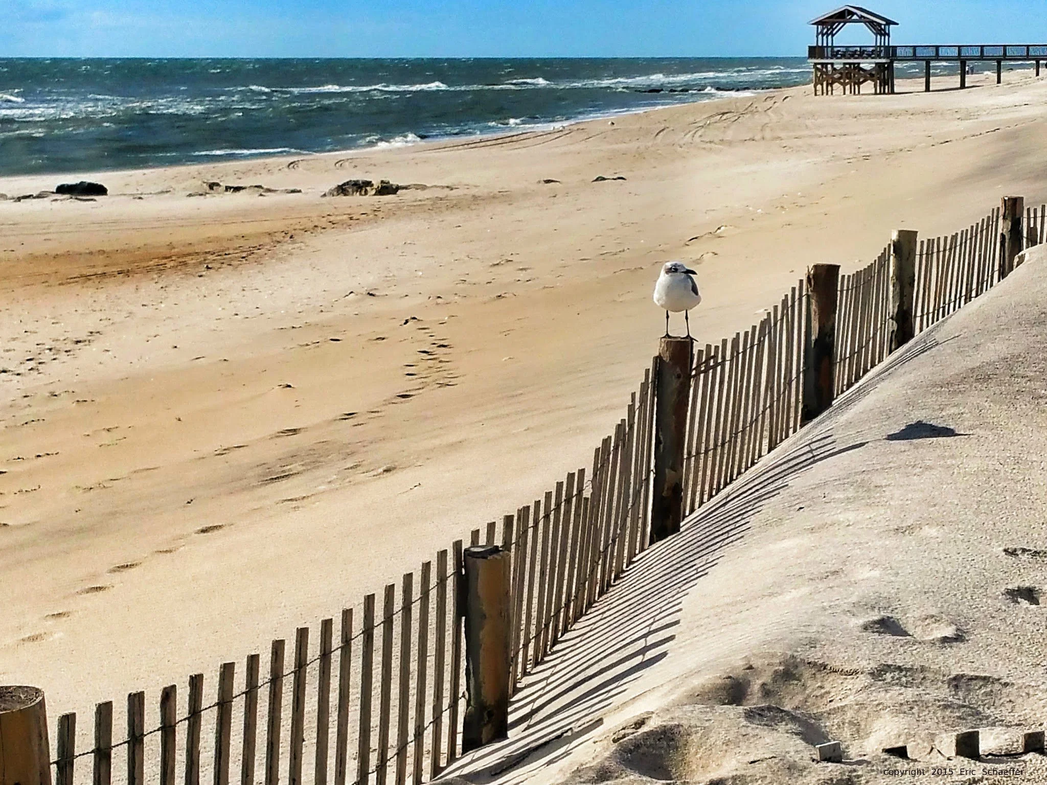 gull-beach-c.jpg