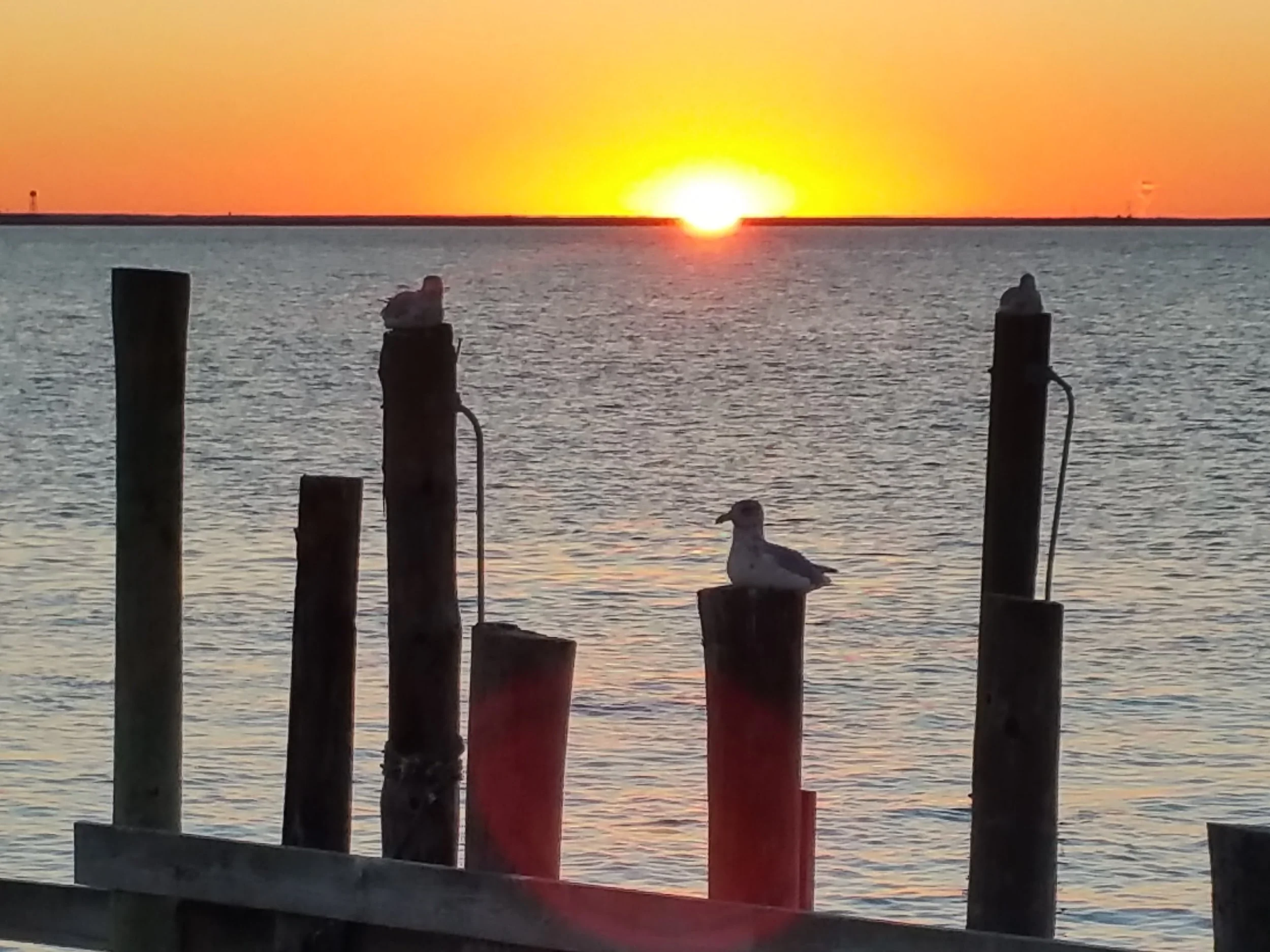 20151010_182352.jpg