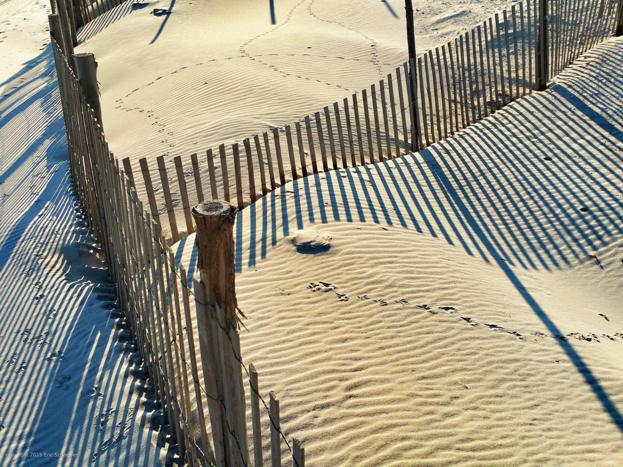 meander2-c.jpg