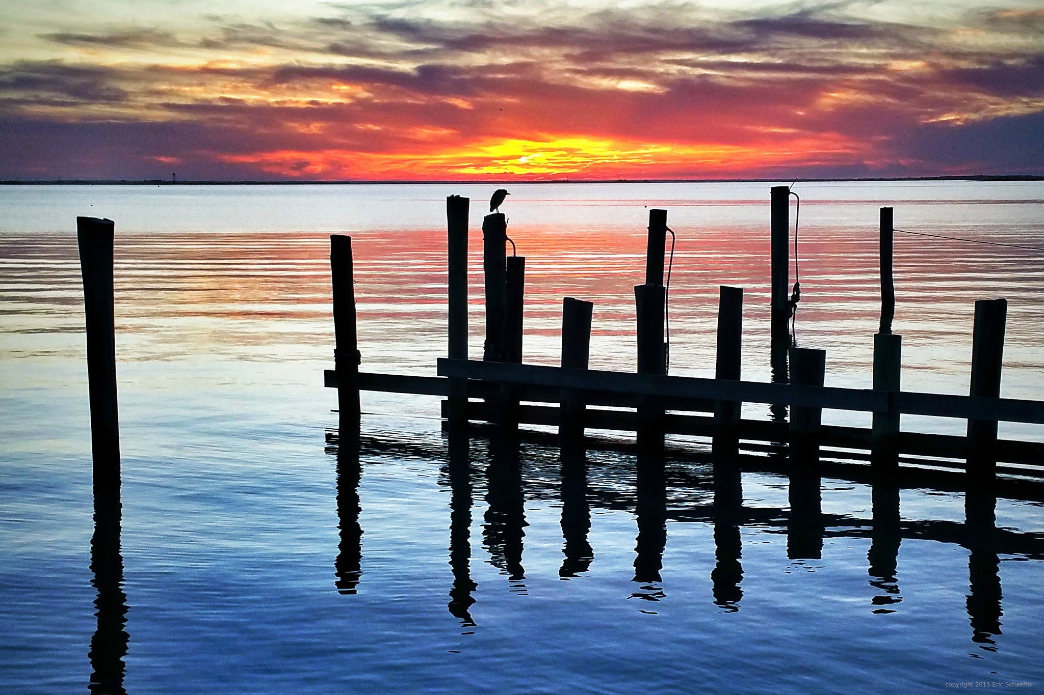 night-heron-sunset-c.jpg