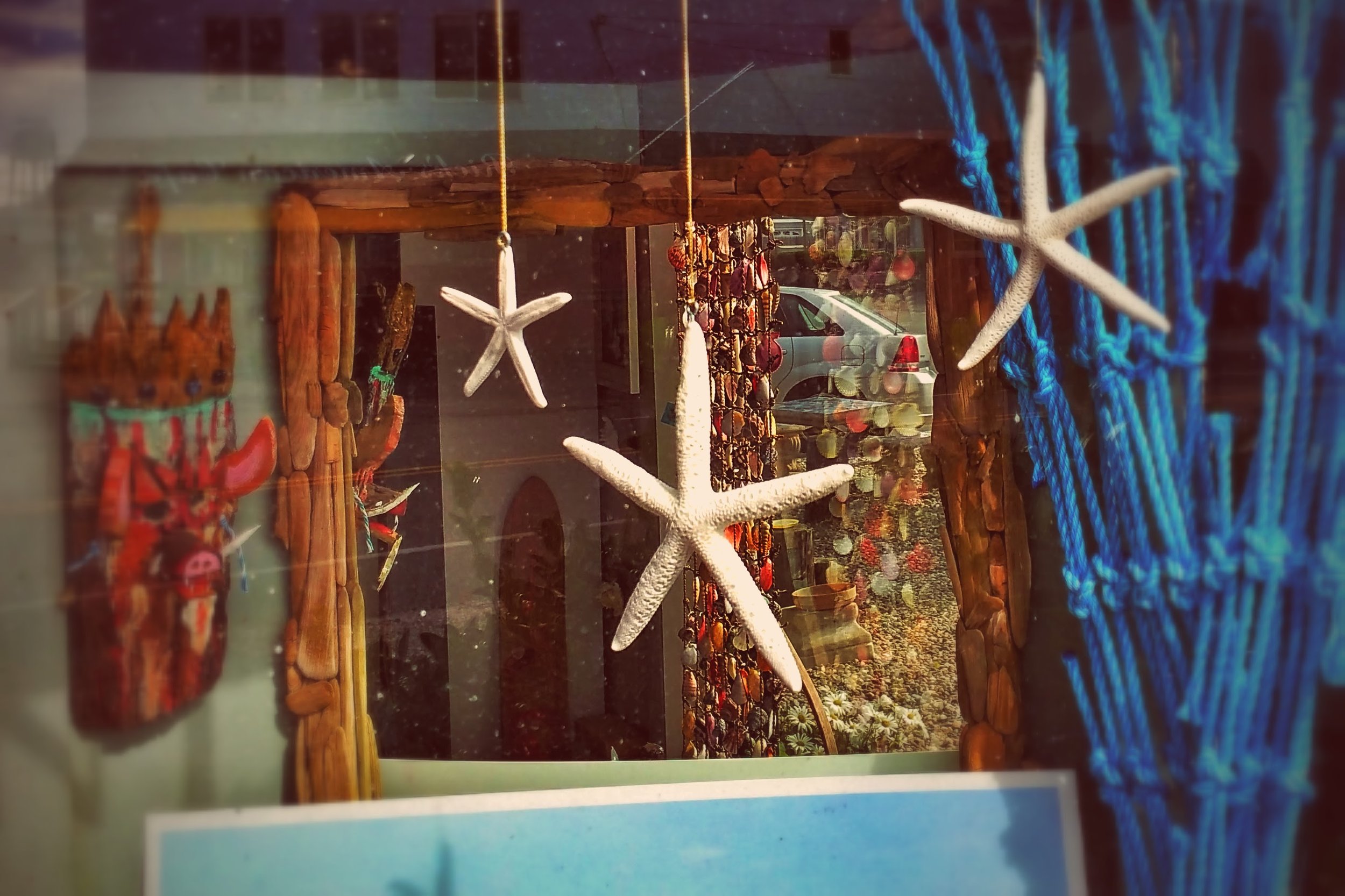star-fish.jpg