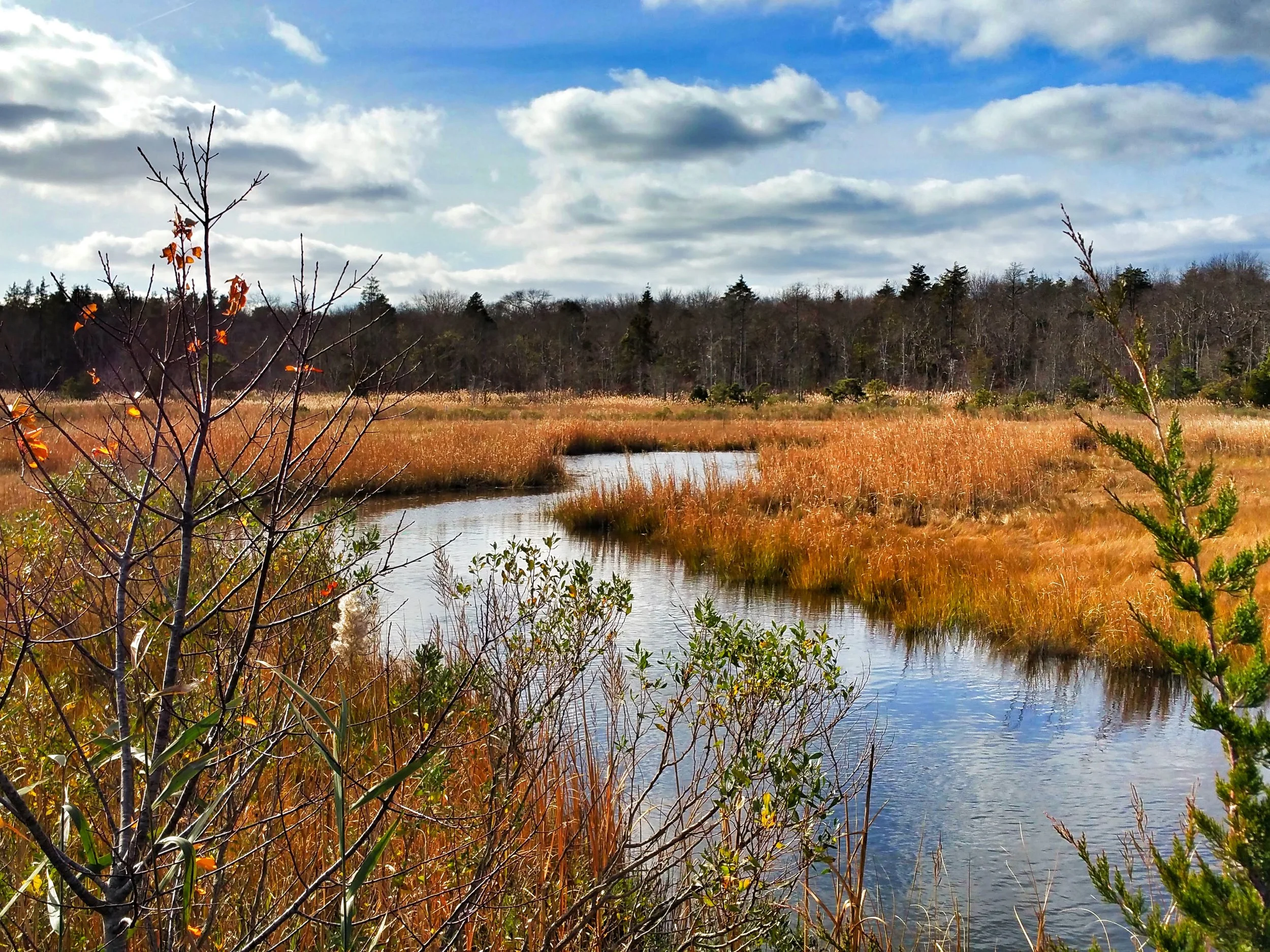 20151117_125924.jpg