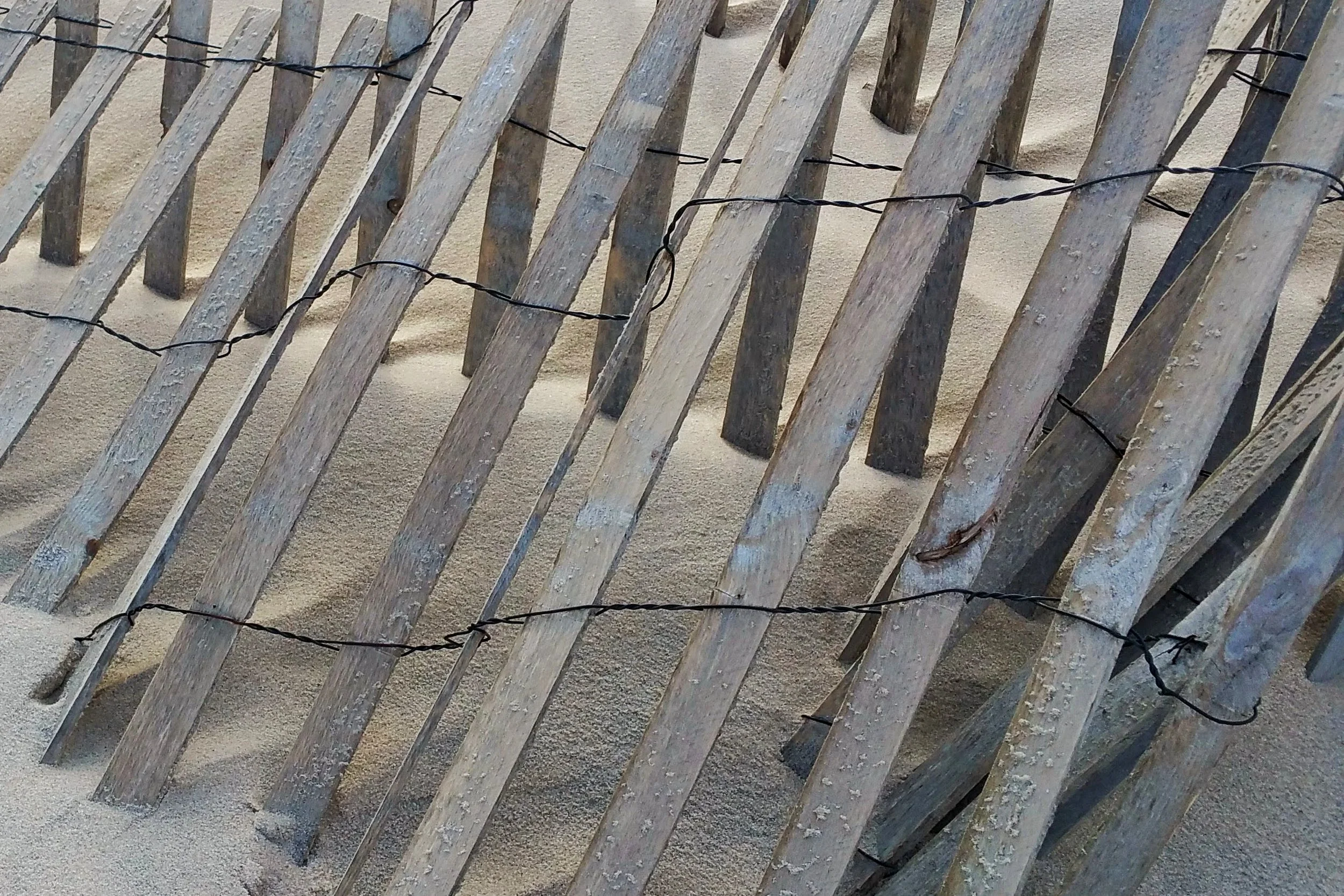 fence-wire.jpg