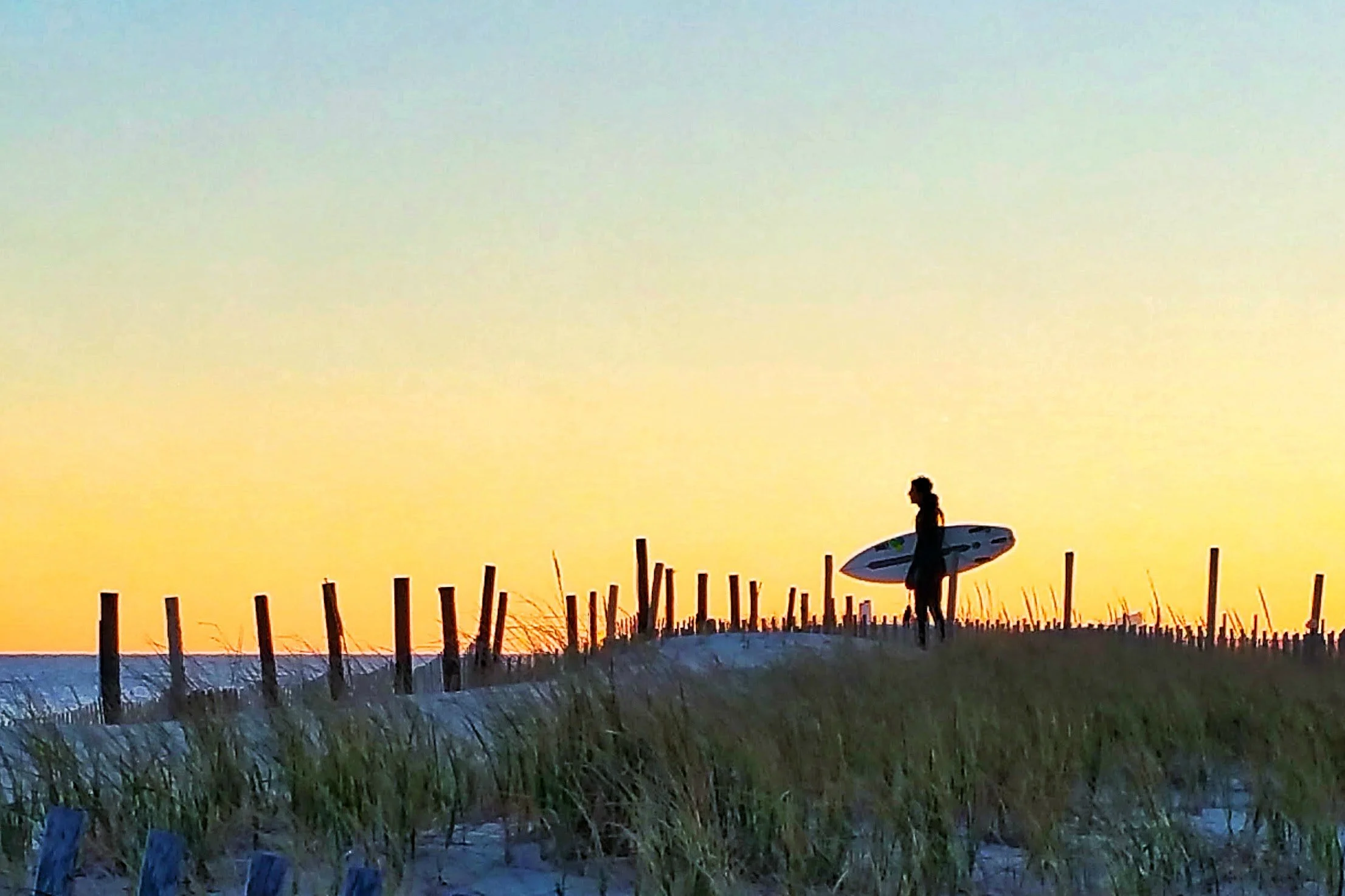 surf-silhouette-p.jpg